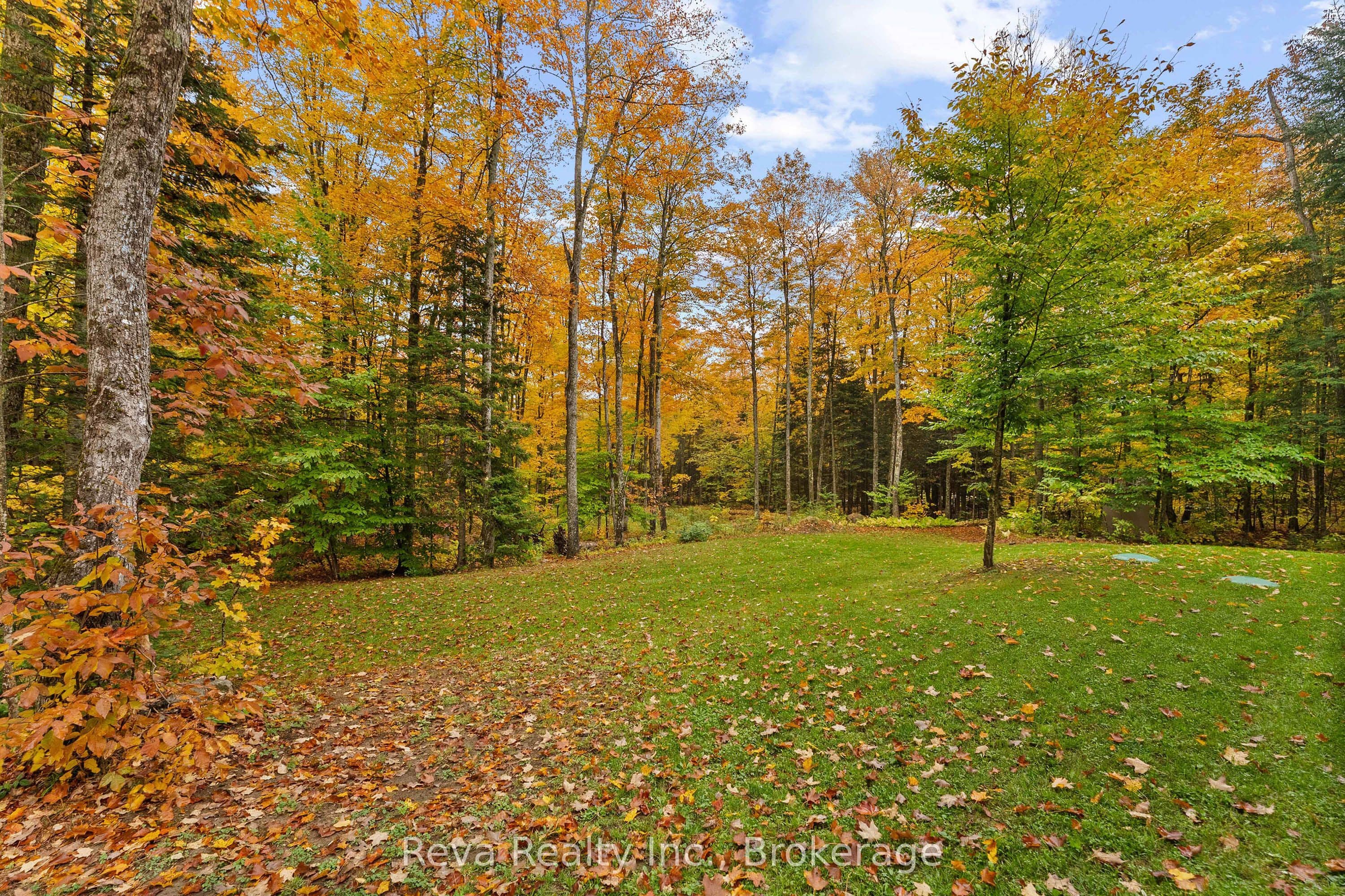 Listing 354140 Image