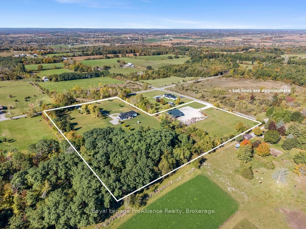 Listing 354385 Image