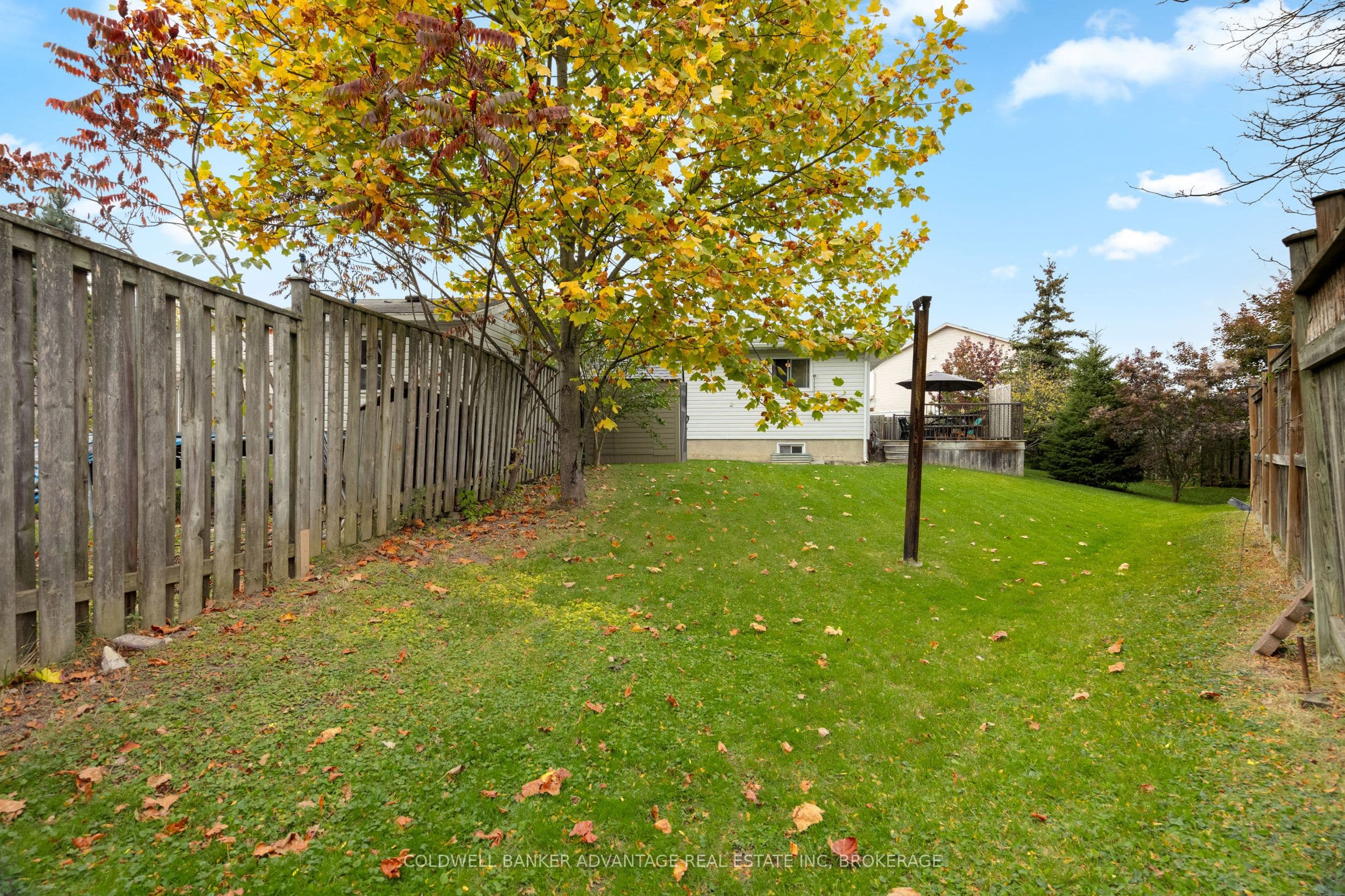 Listing 358870 Image