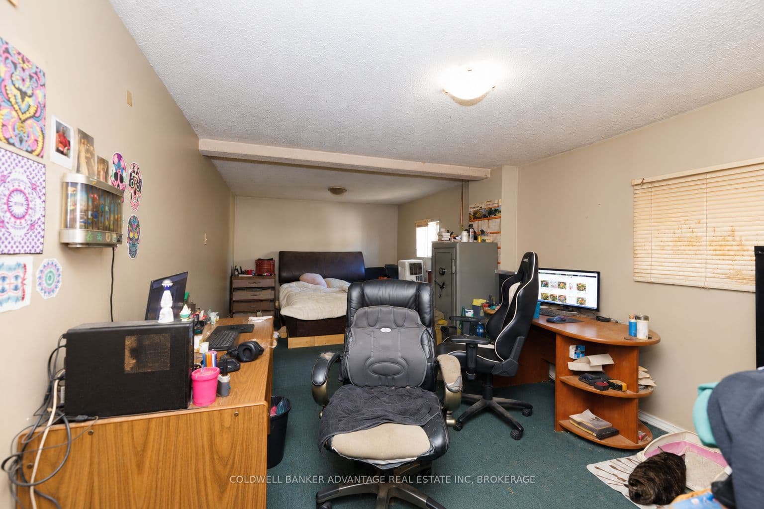 Listing 356776 Image