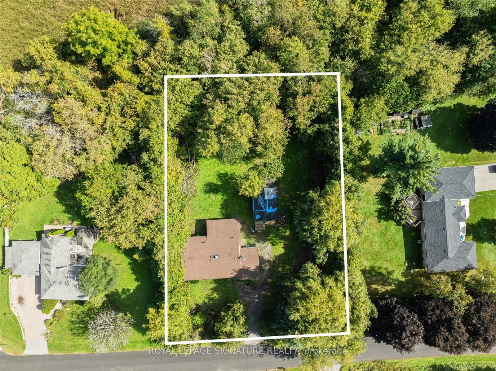 Listing 356931 Image