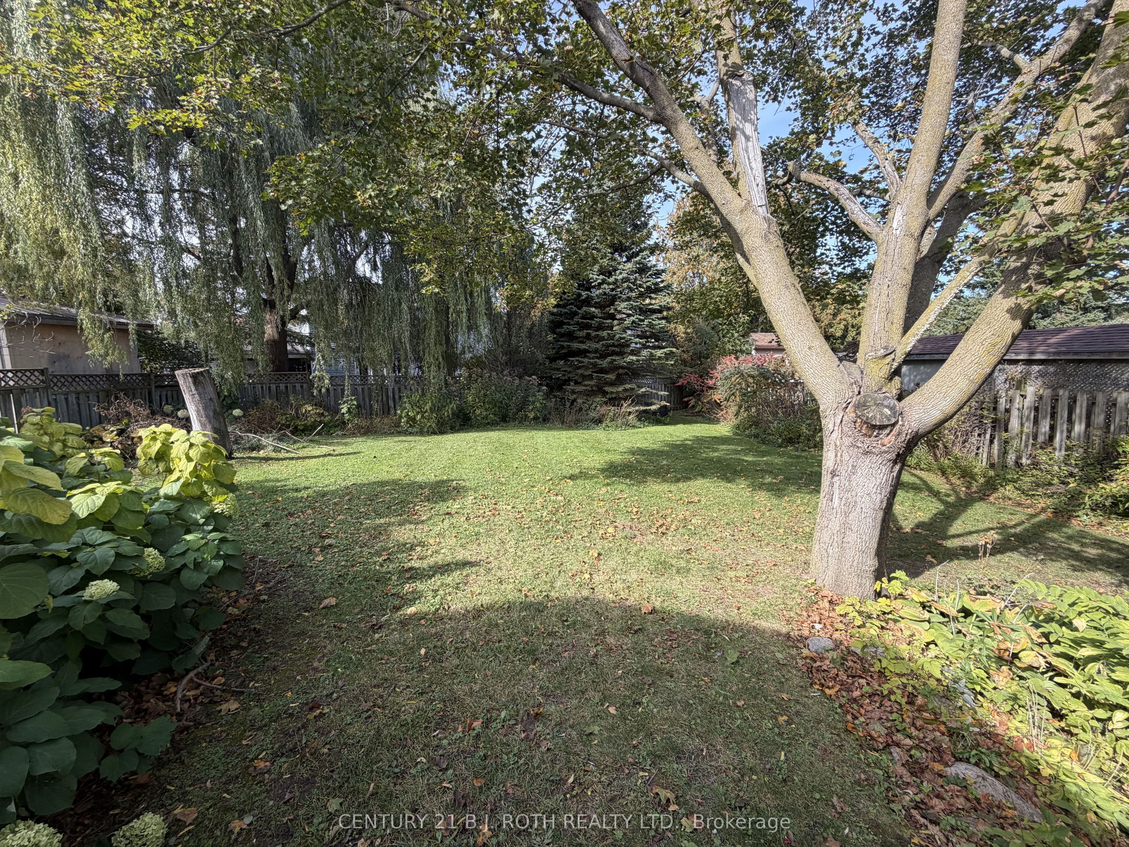 Listing 358170 Image