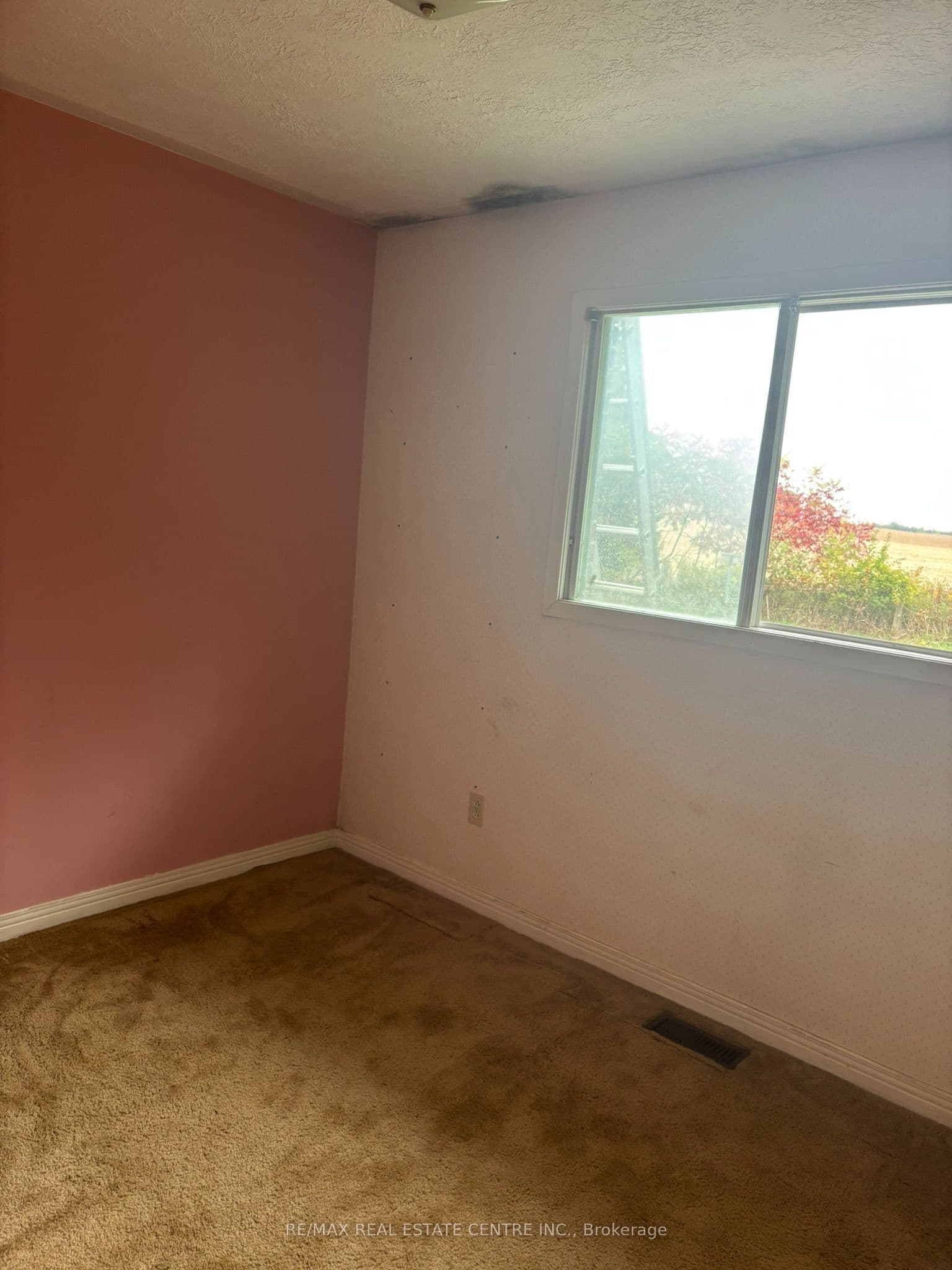 Listing 358867 Image