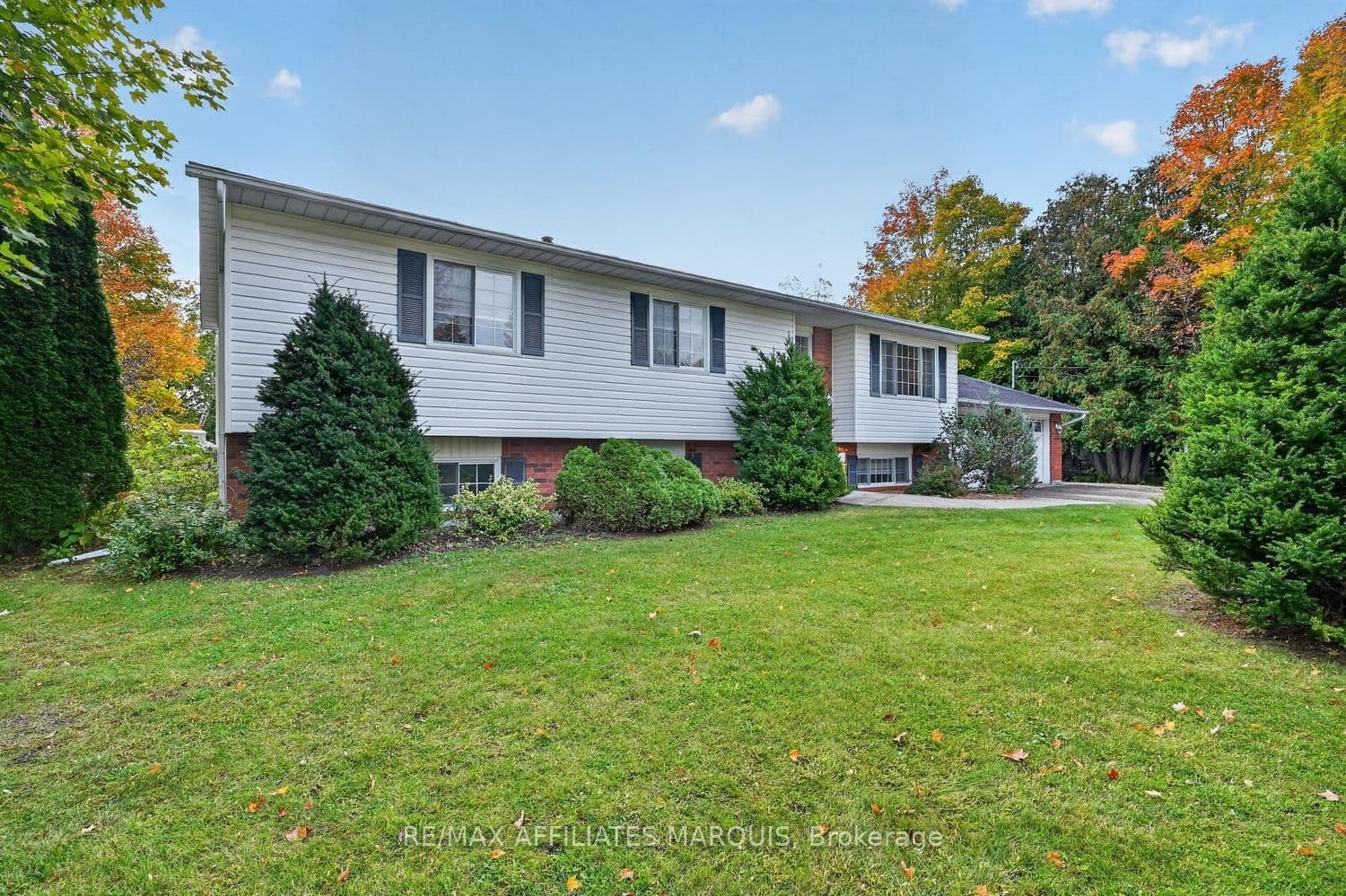 Listing 358846 Image