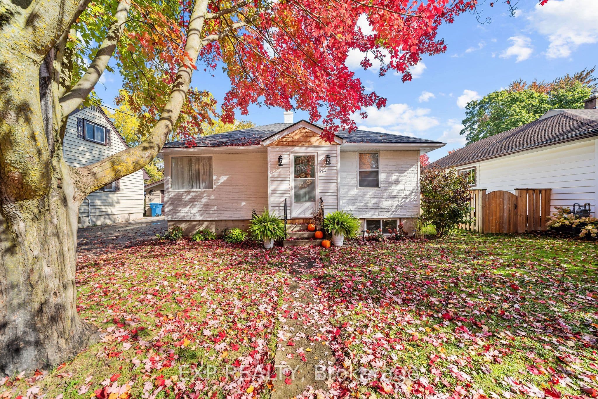 Main Property