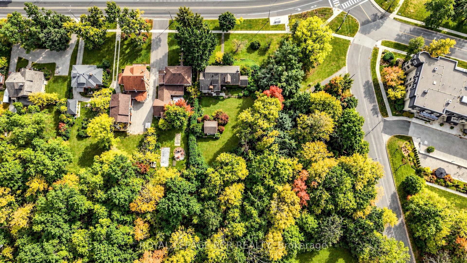 Listing 360116 Image