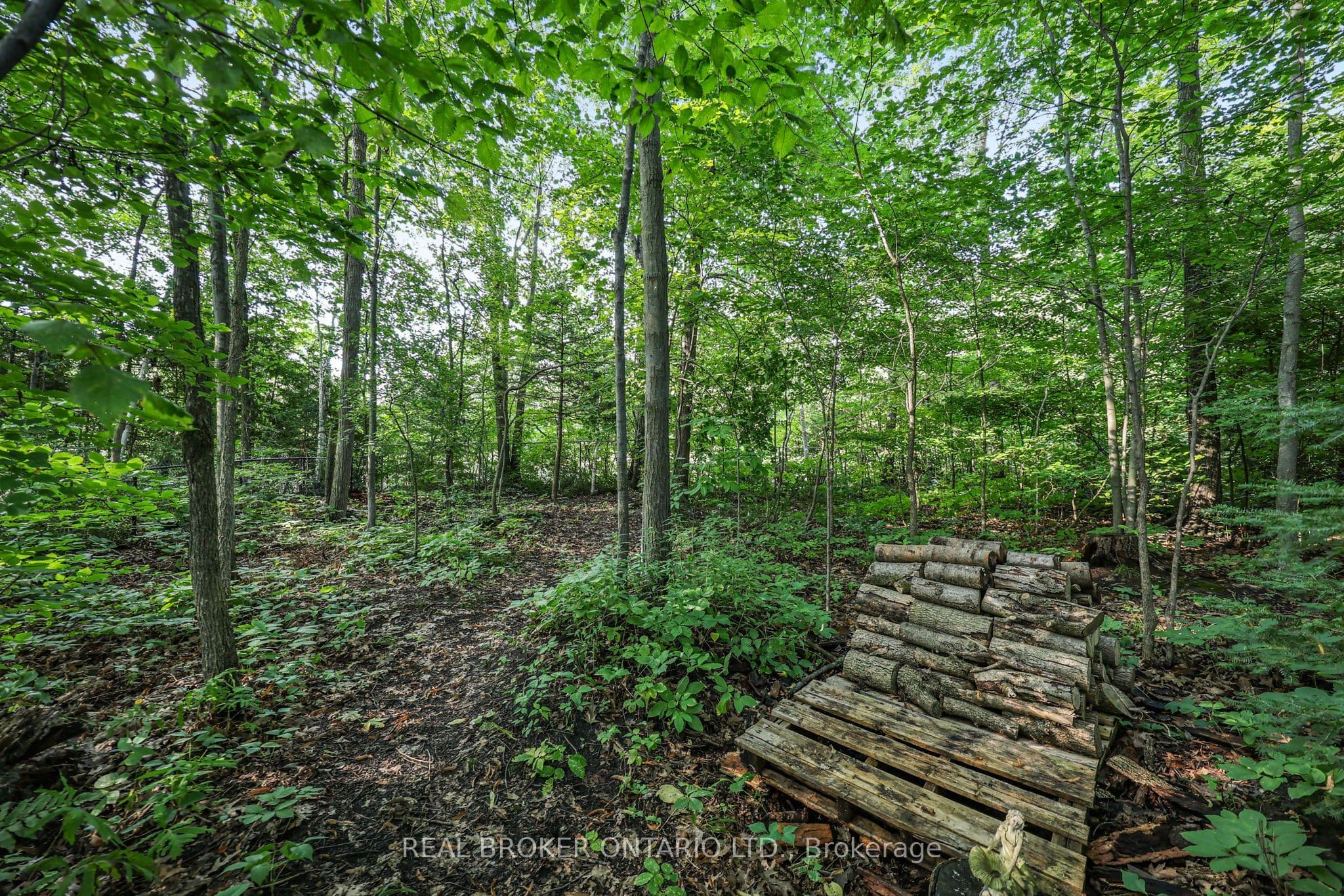 Listing 360312 Image