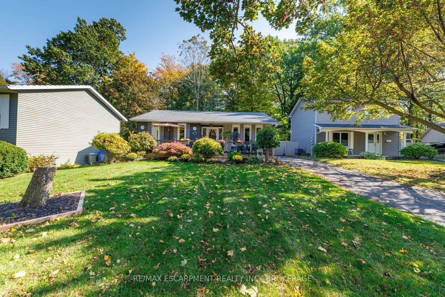Main Property