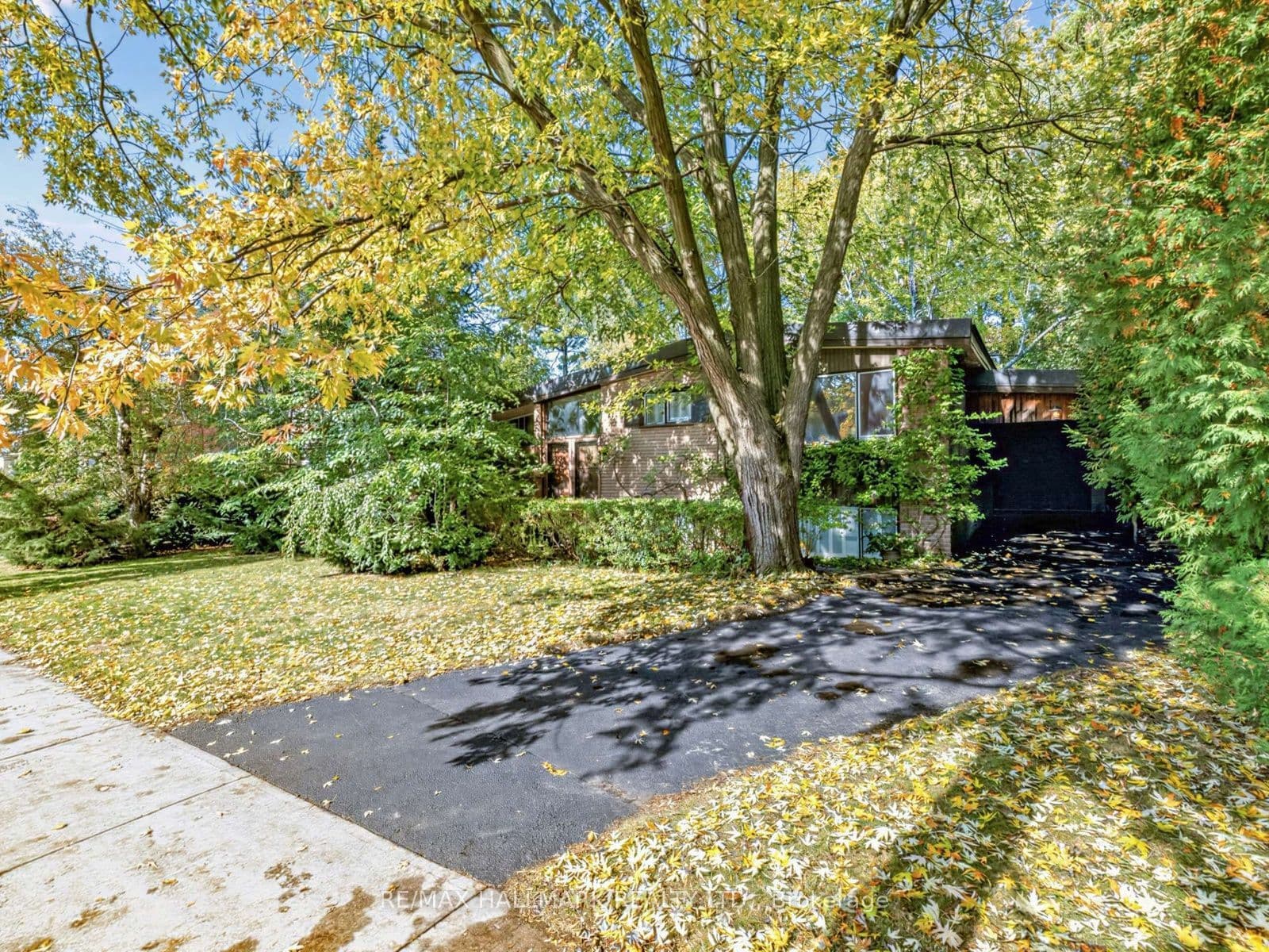 Main Property