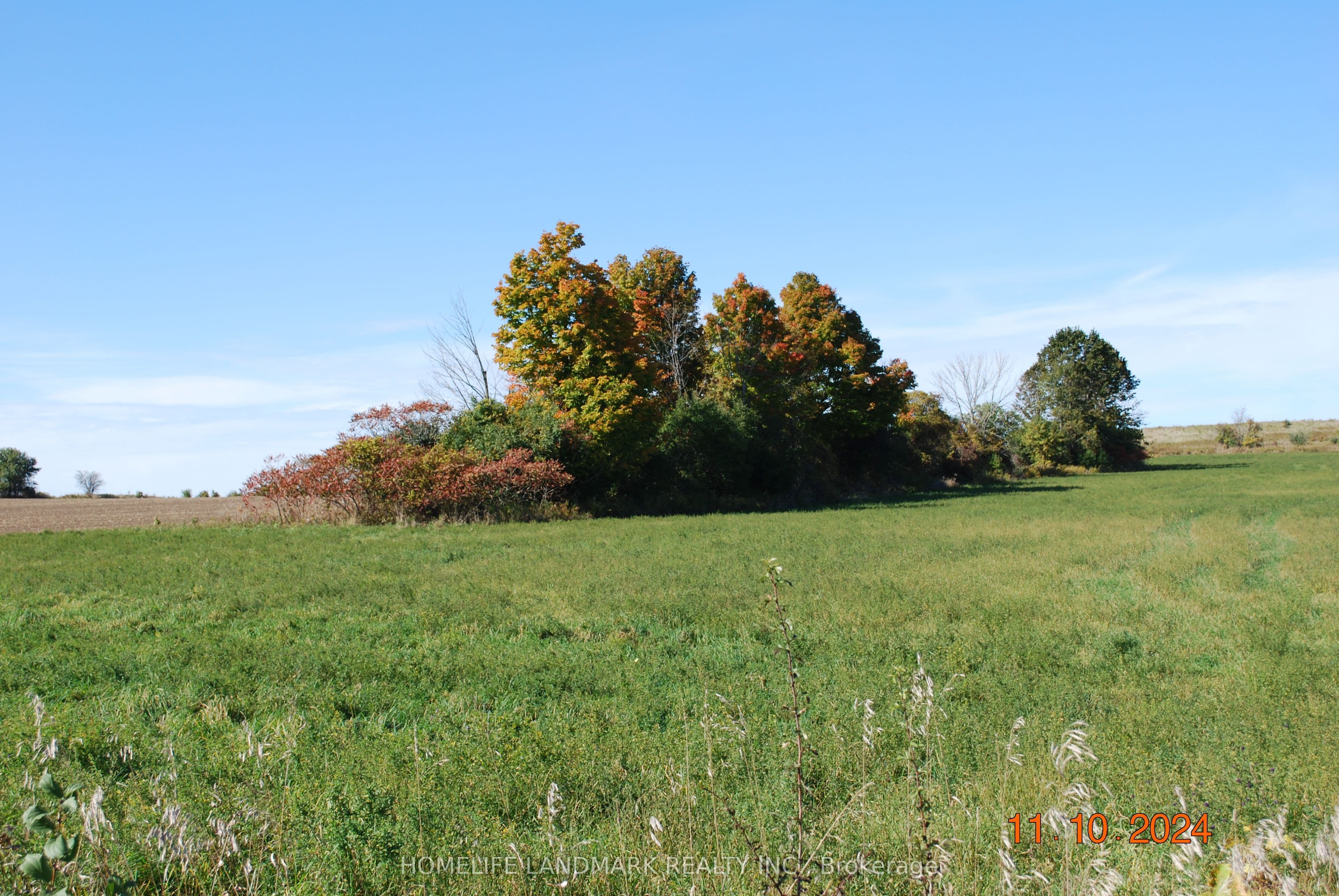 Listing 361025 Image