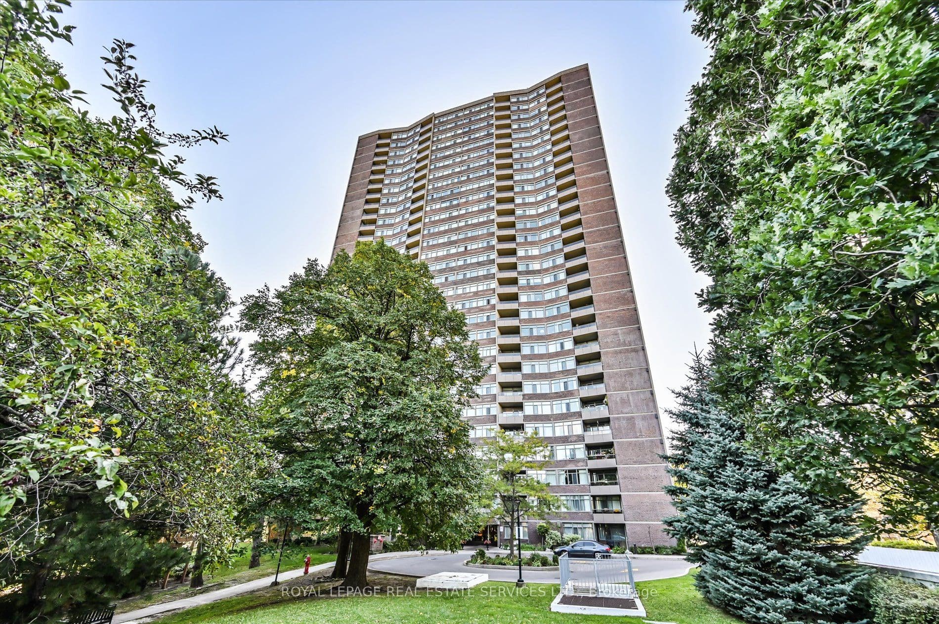 Main Property