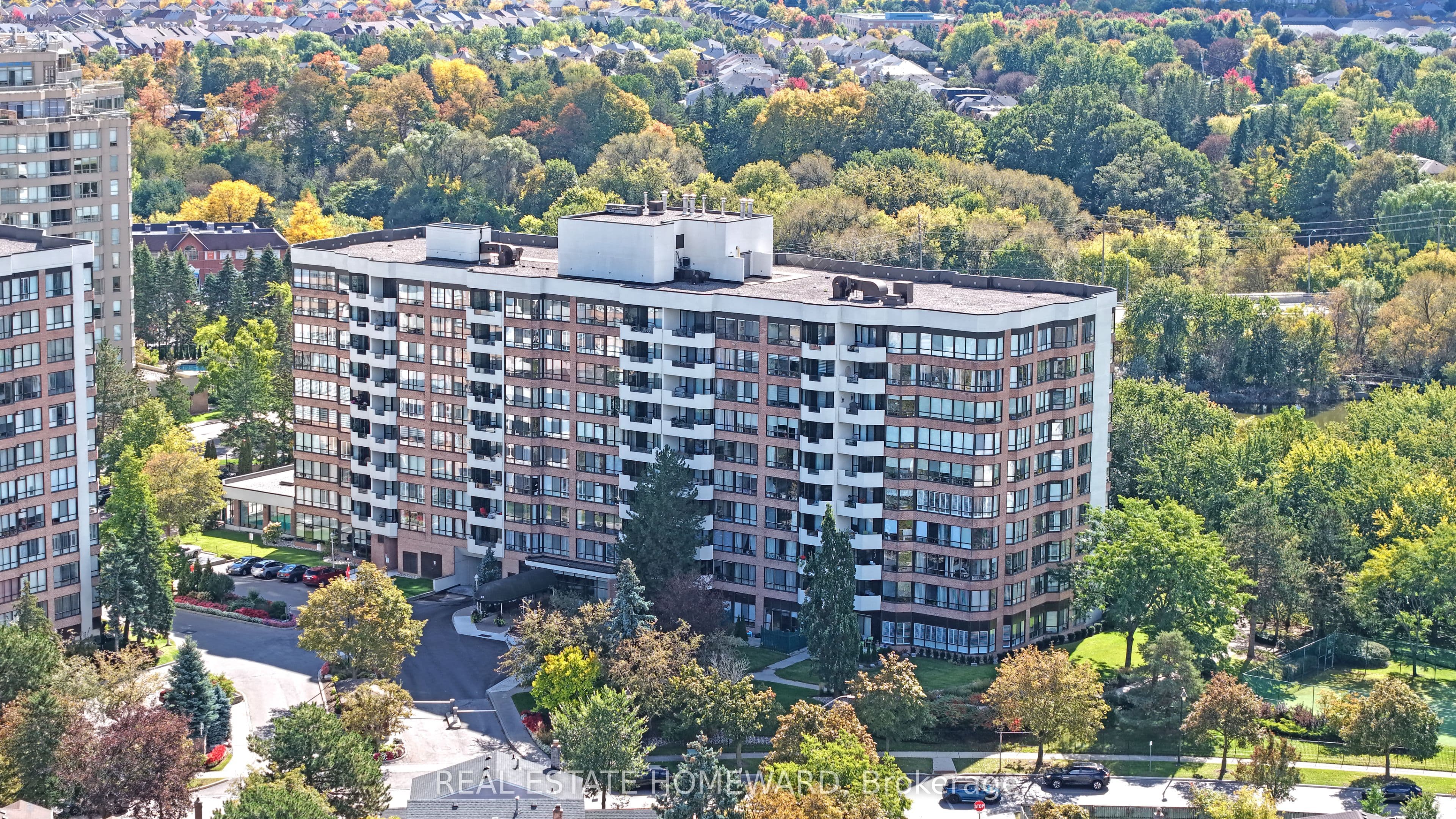 Main Property