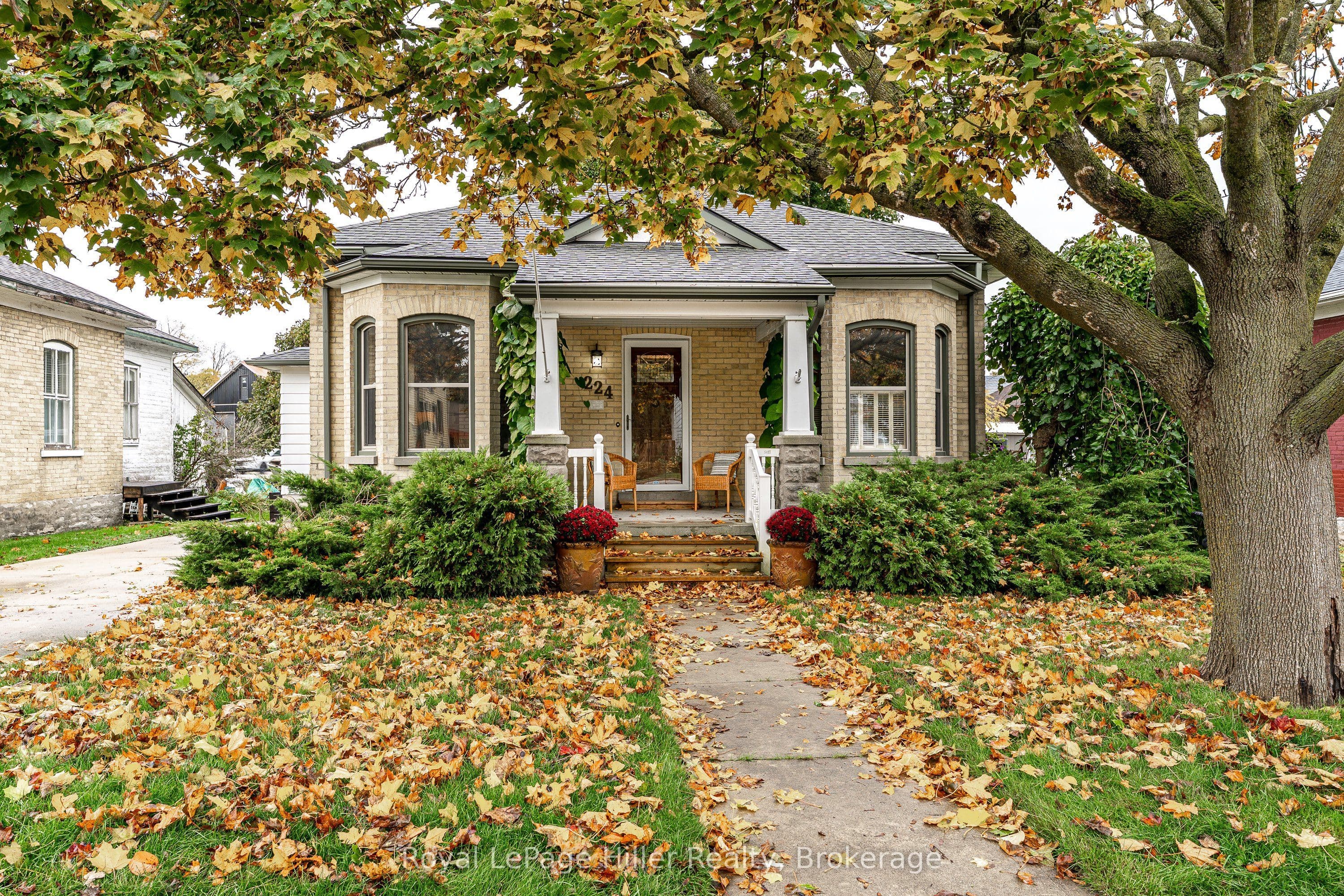 Listing 366933 Image