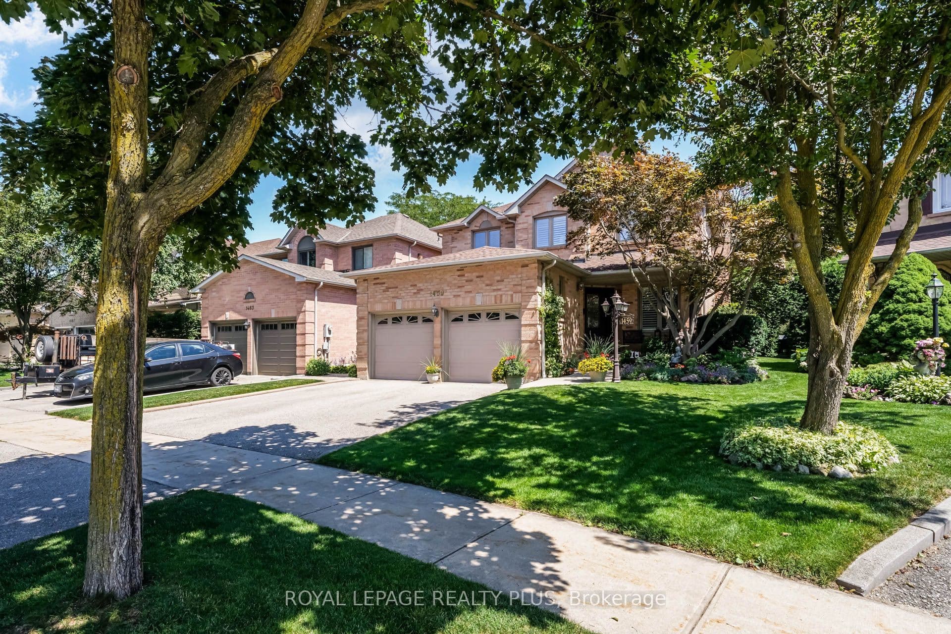 Main Property