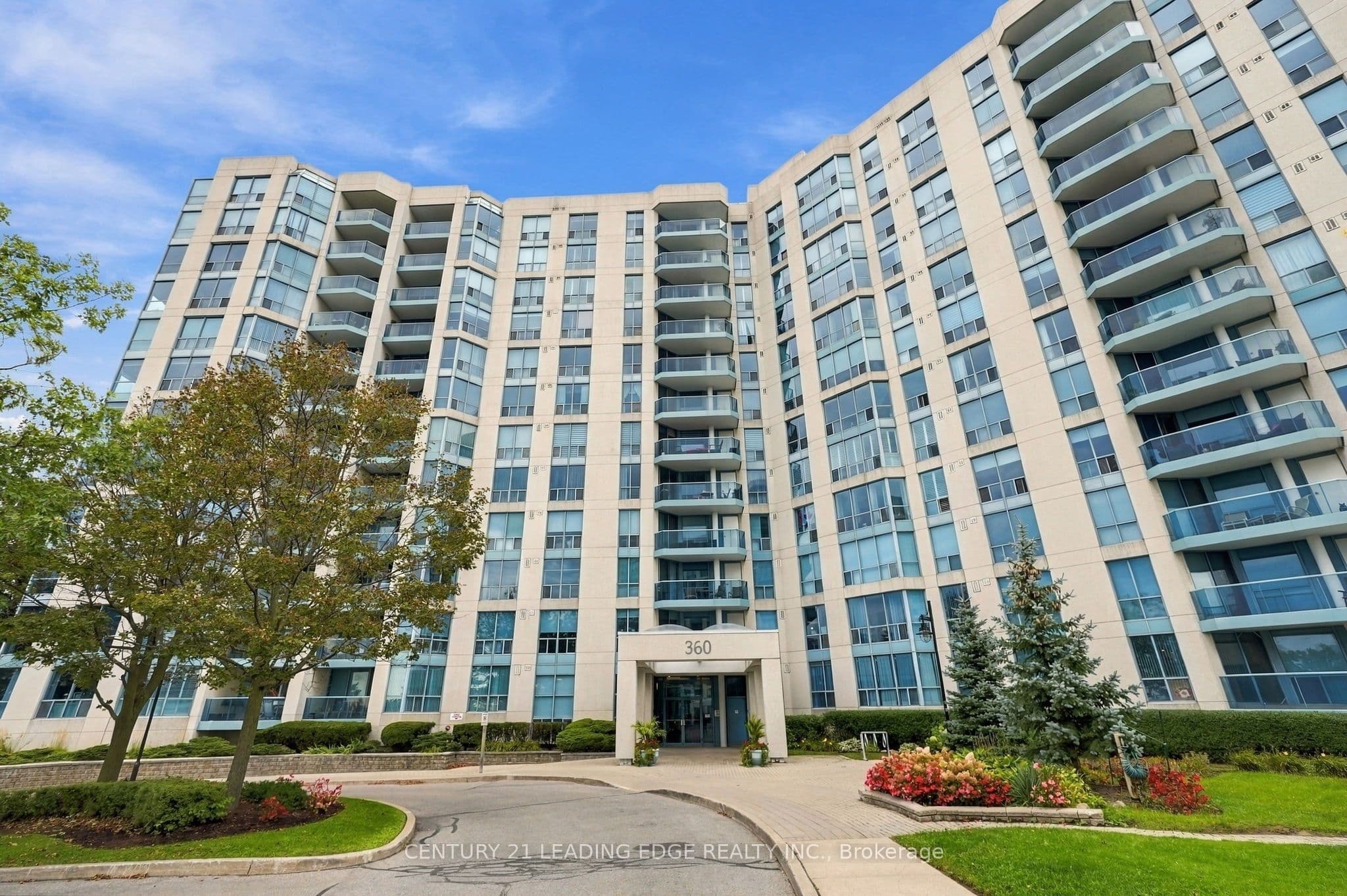 Main Property