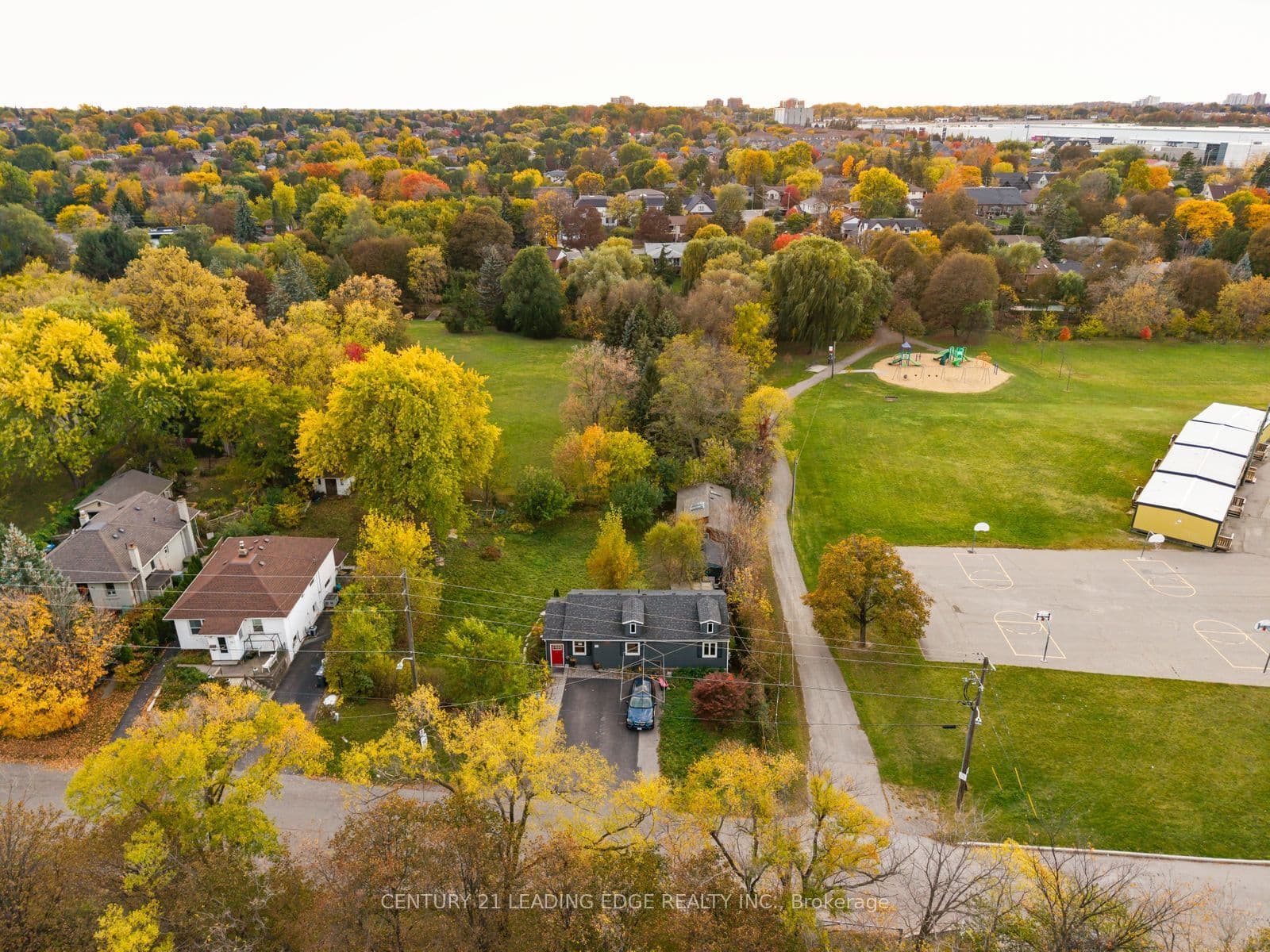 Main Property