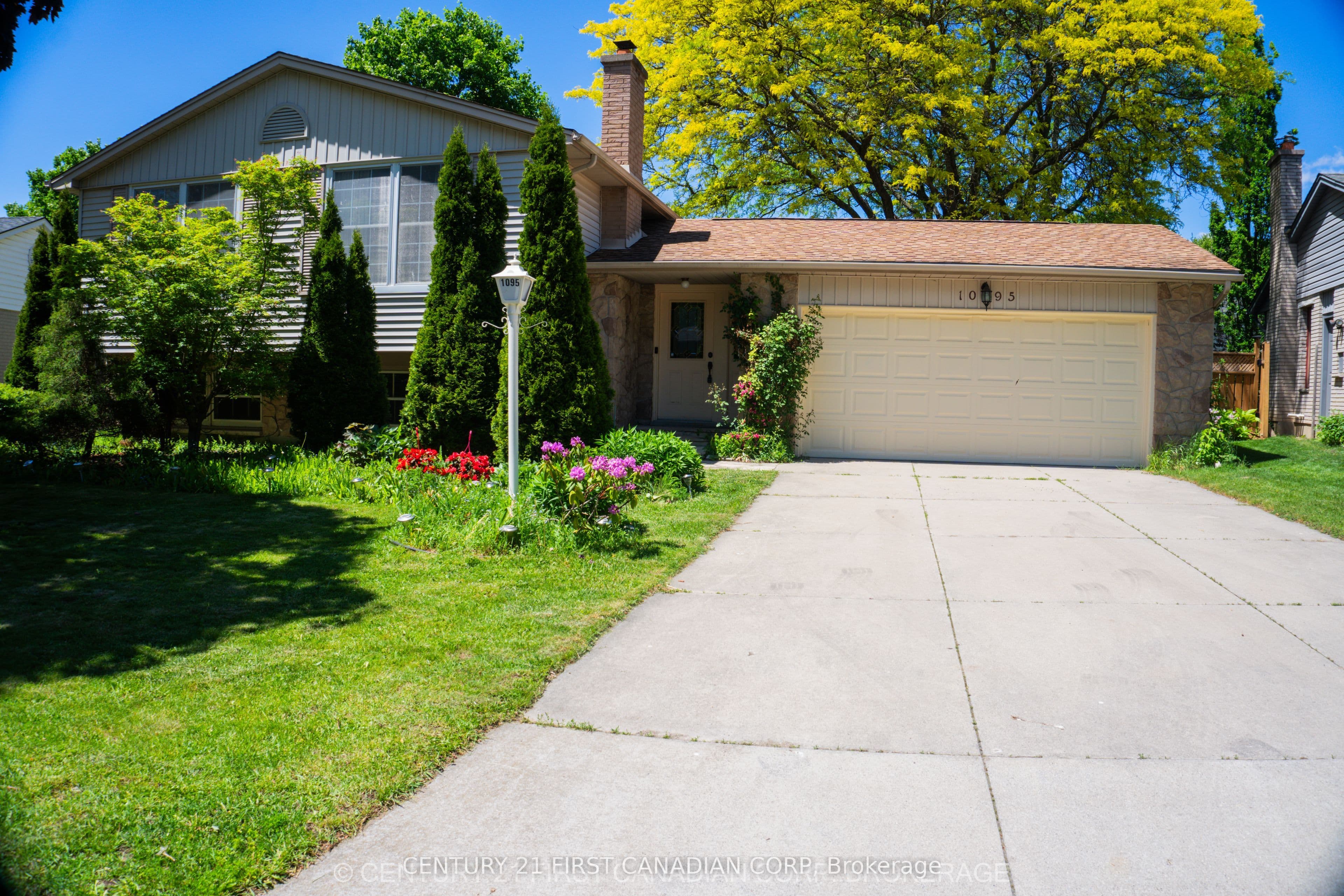 Main Property