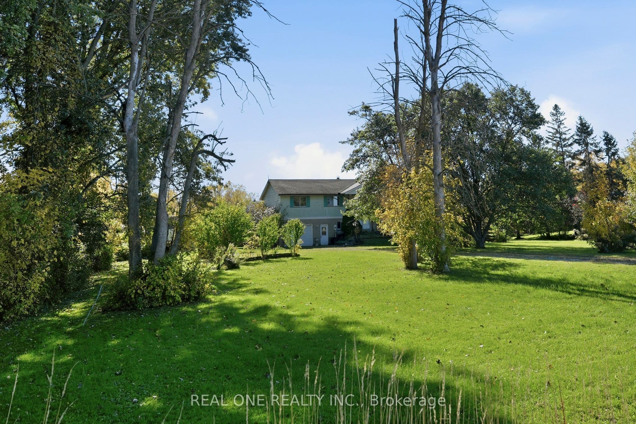Listing 367022 Image
