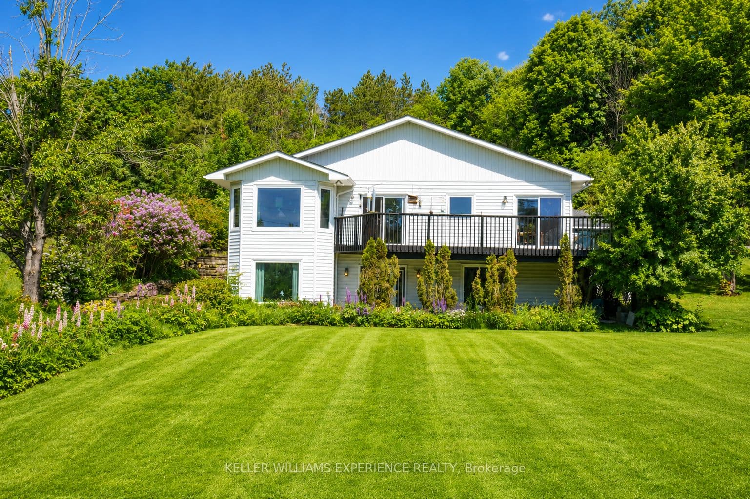 Listing 367383 Image