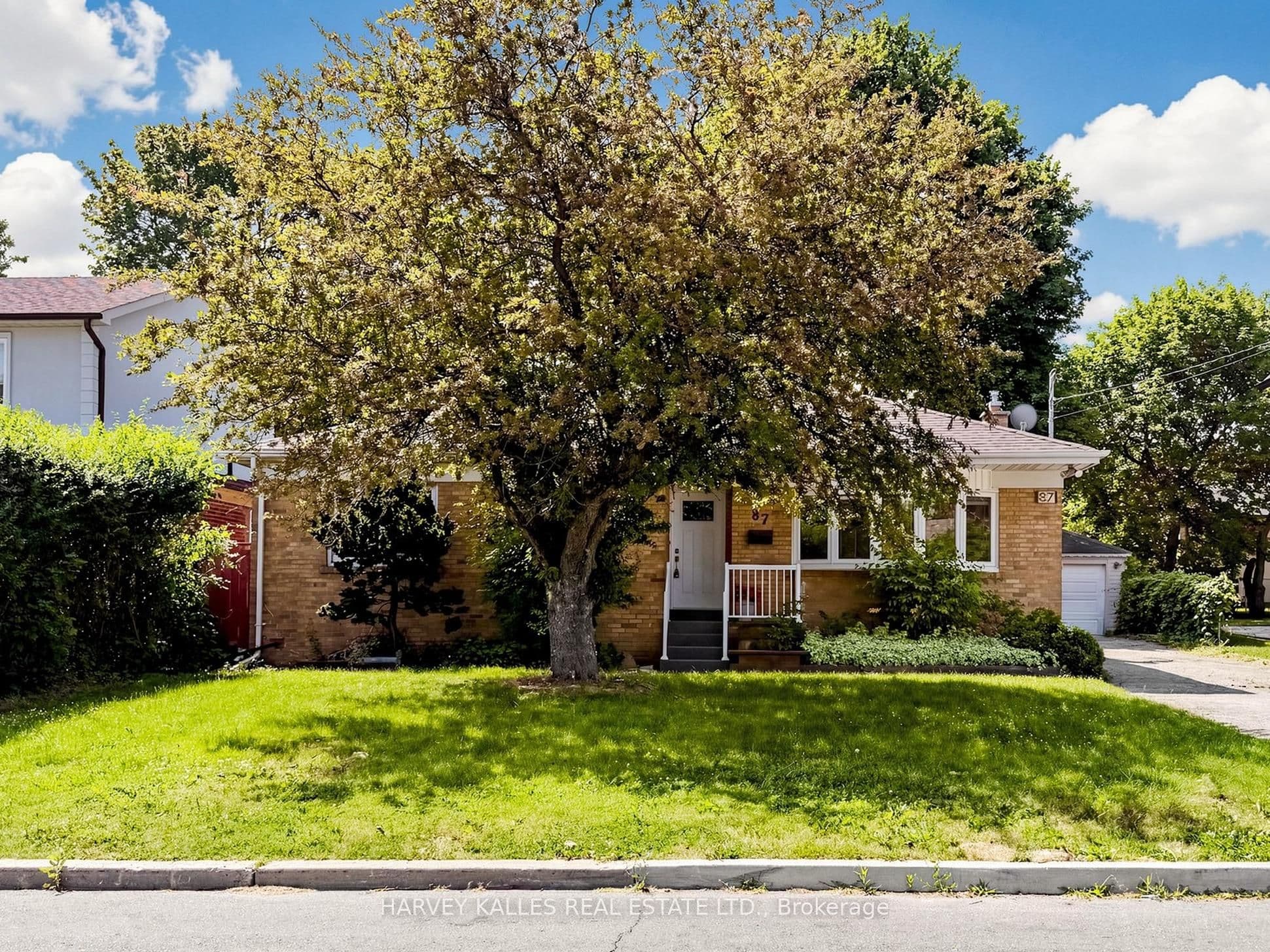 Main Property