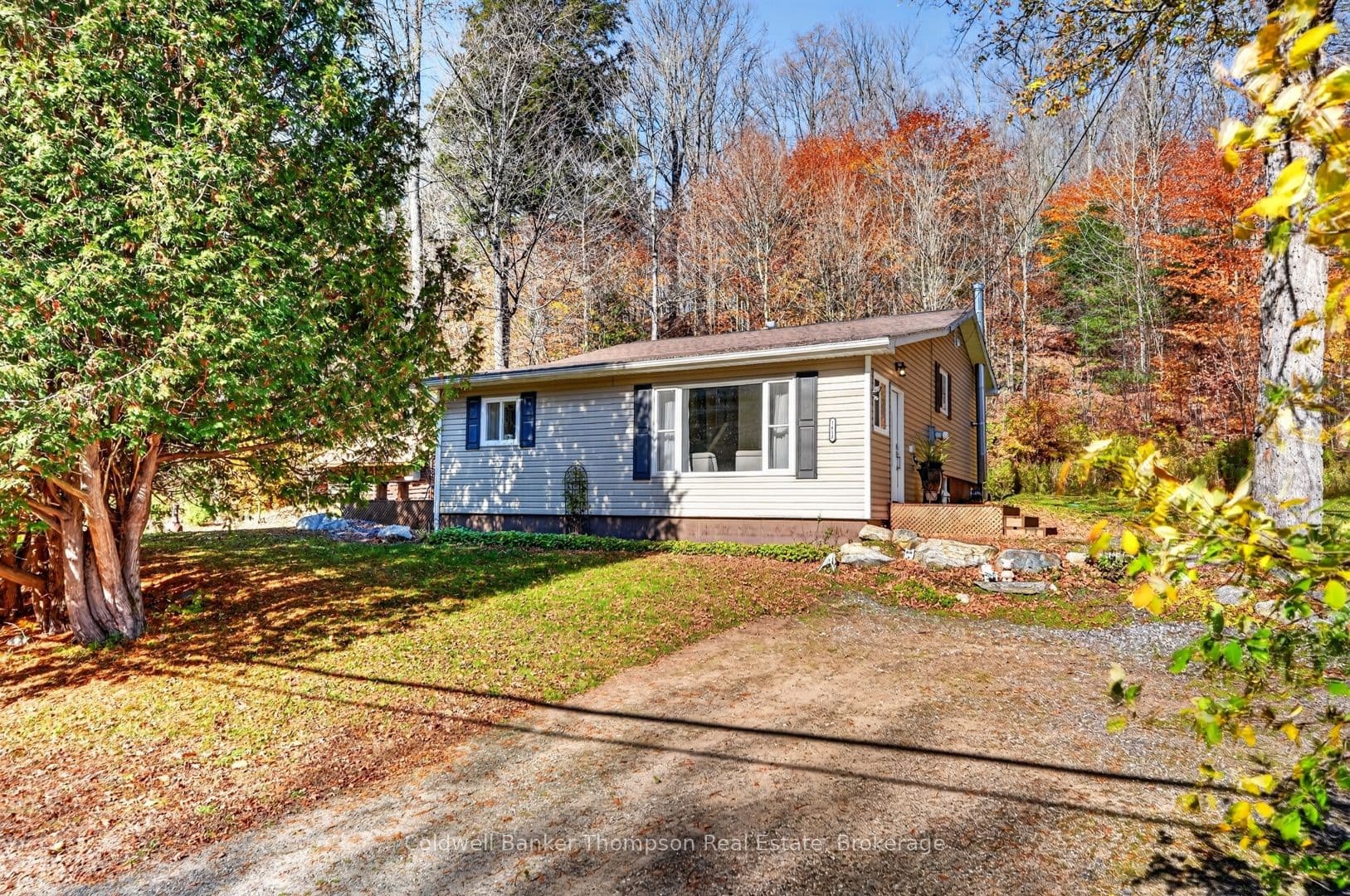 Main Property