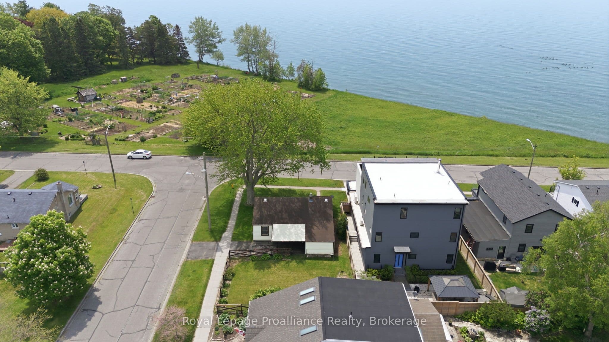 Main Property