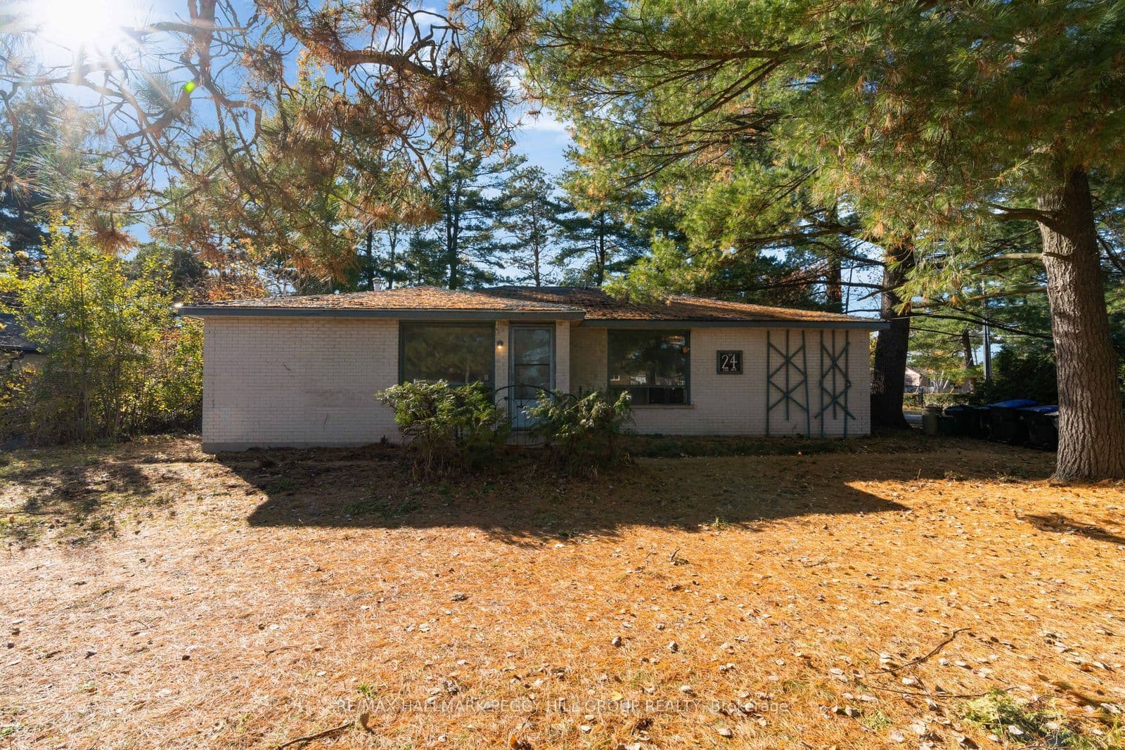 Main Property