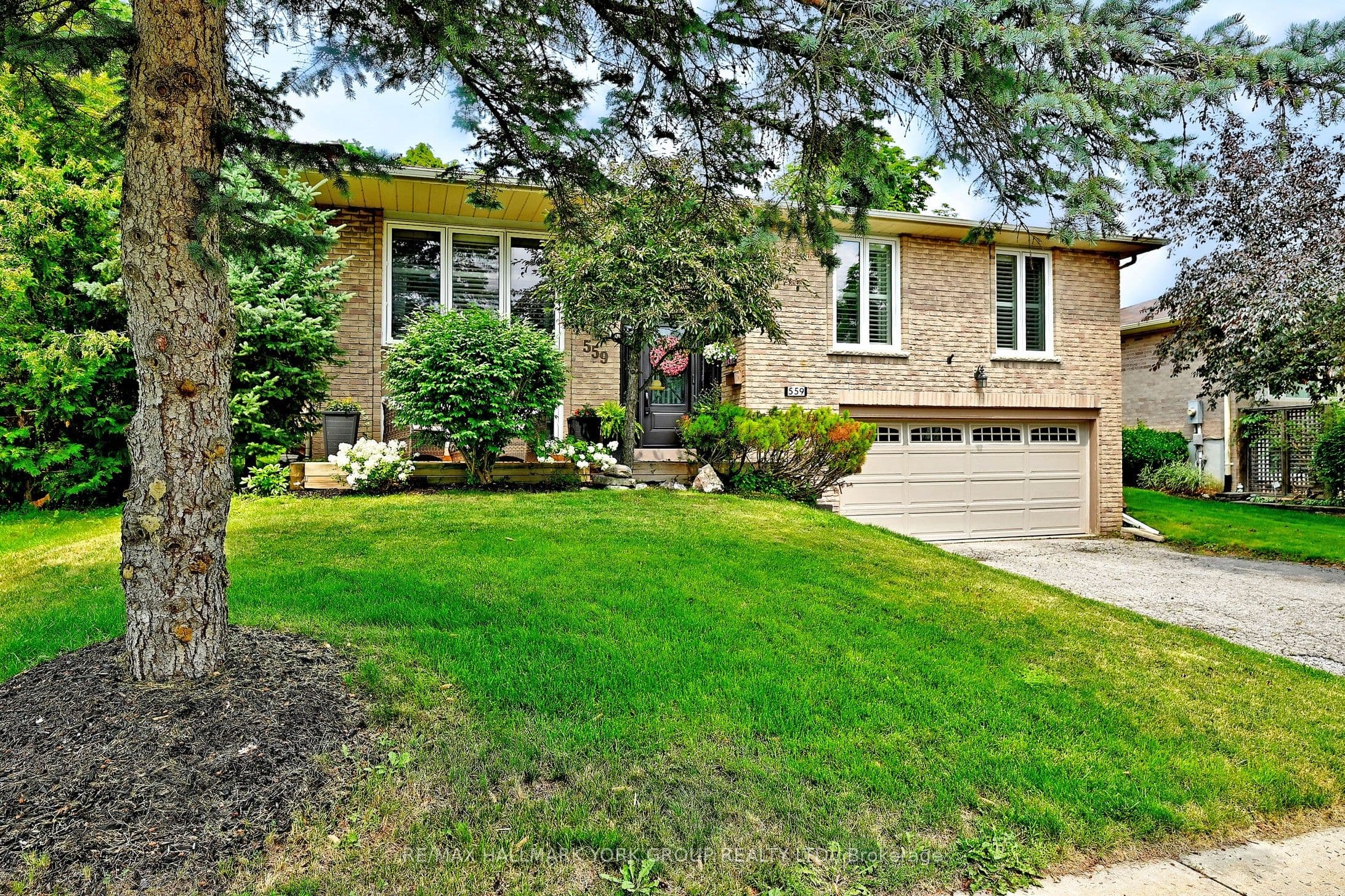 Main Property
