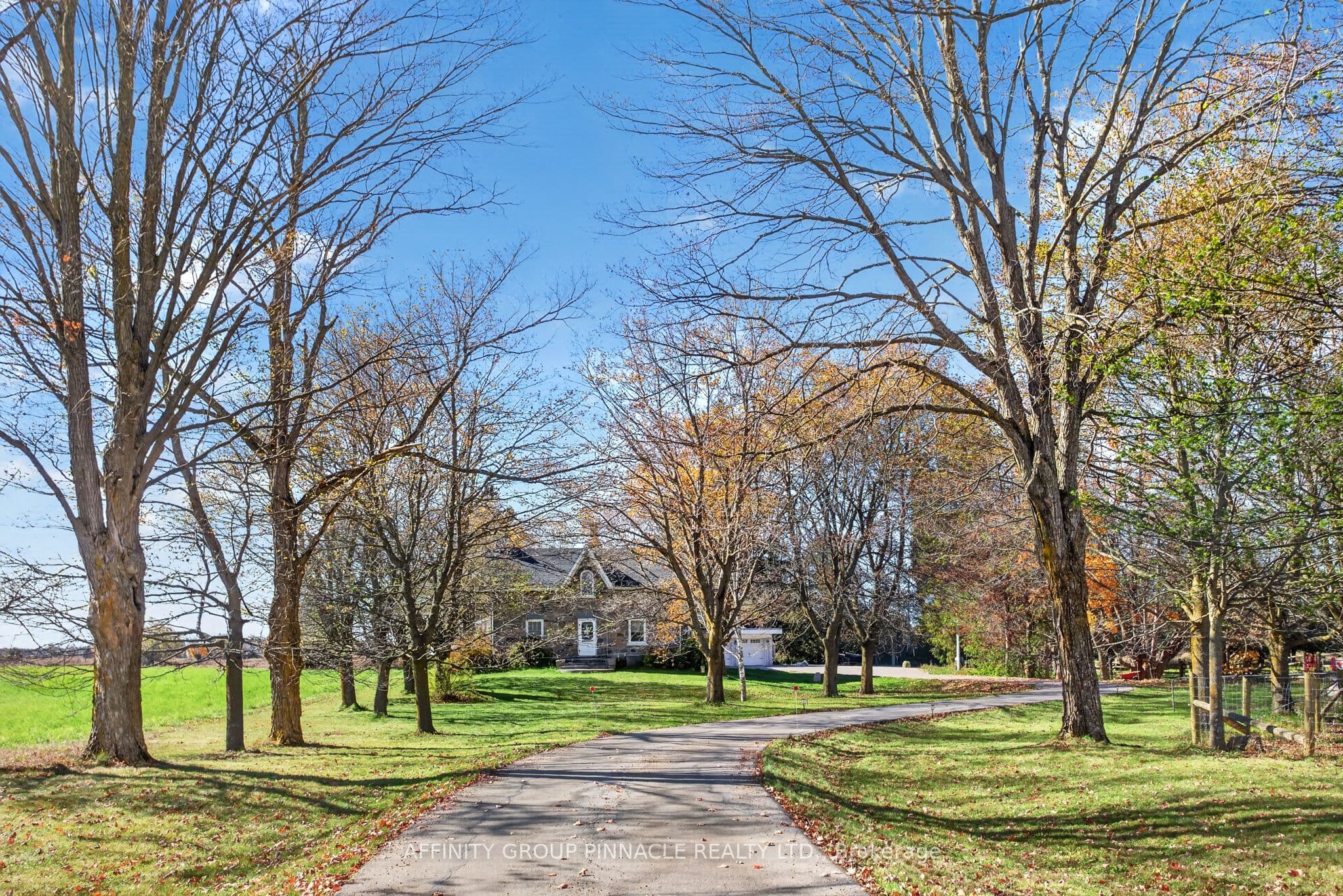 Main Property