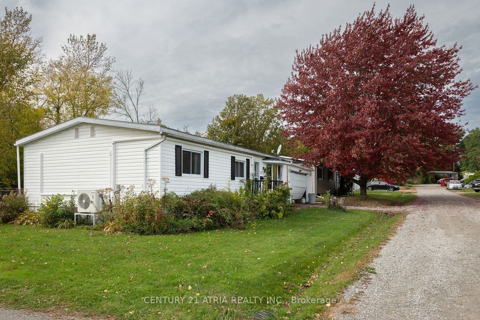 Main Property