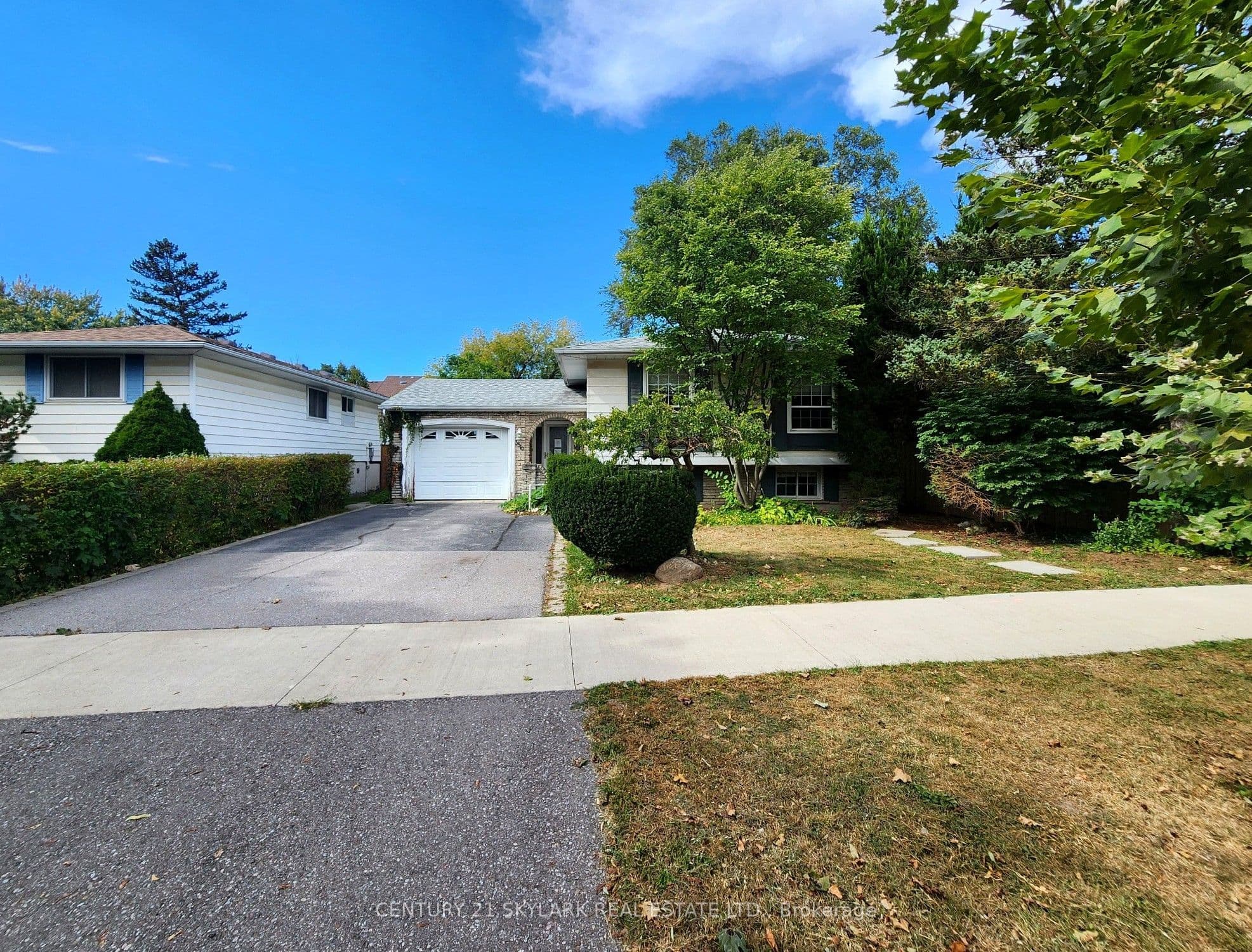 Main Property
