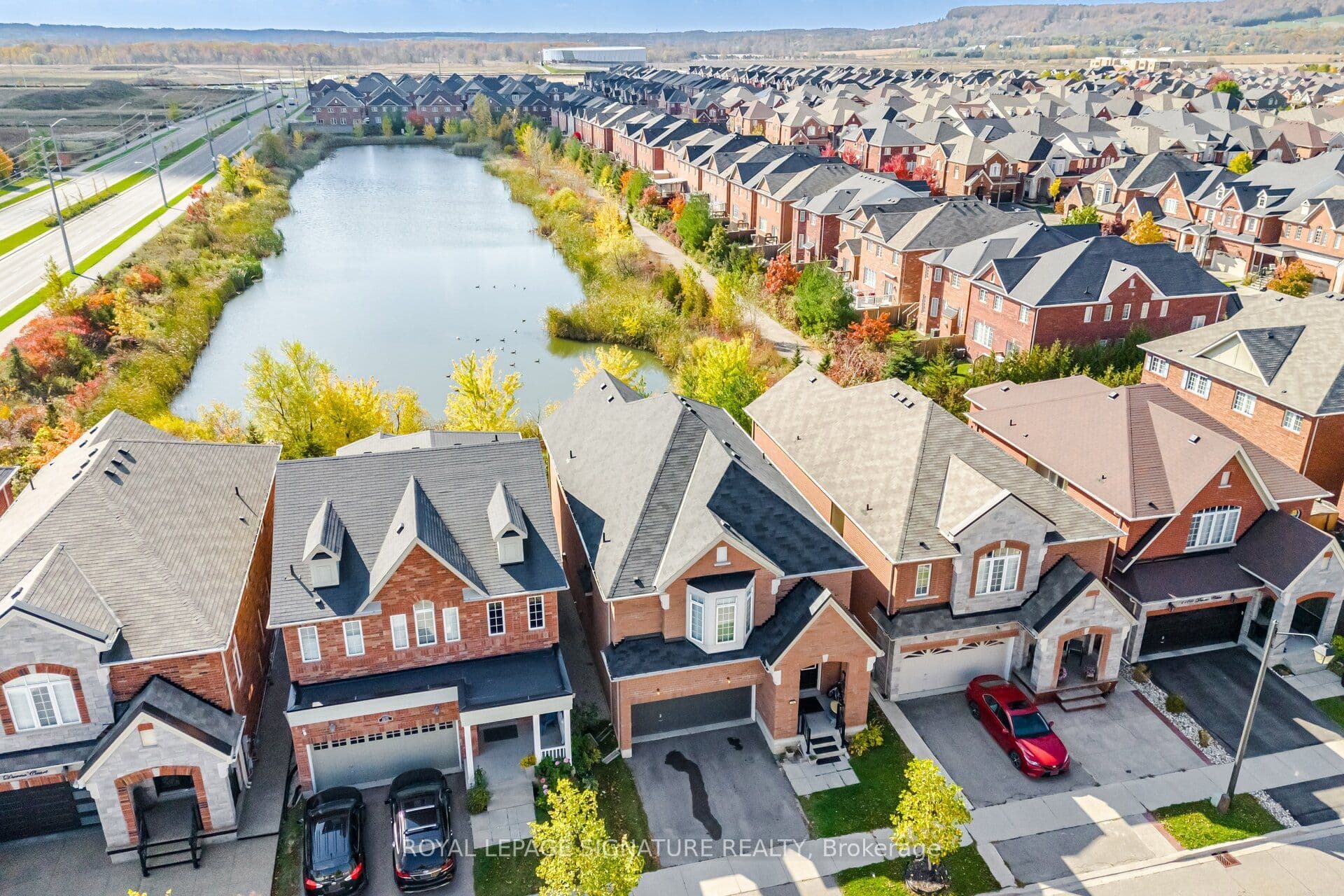 Main Property