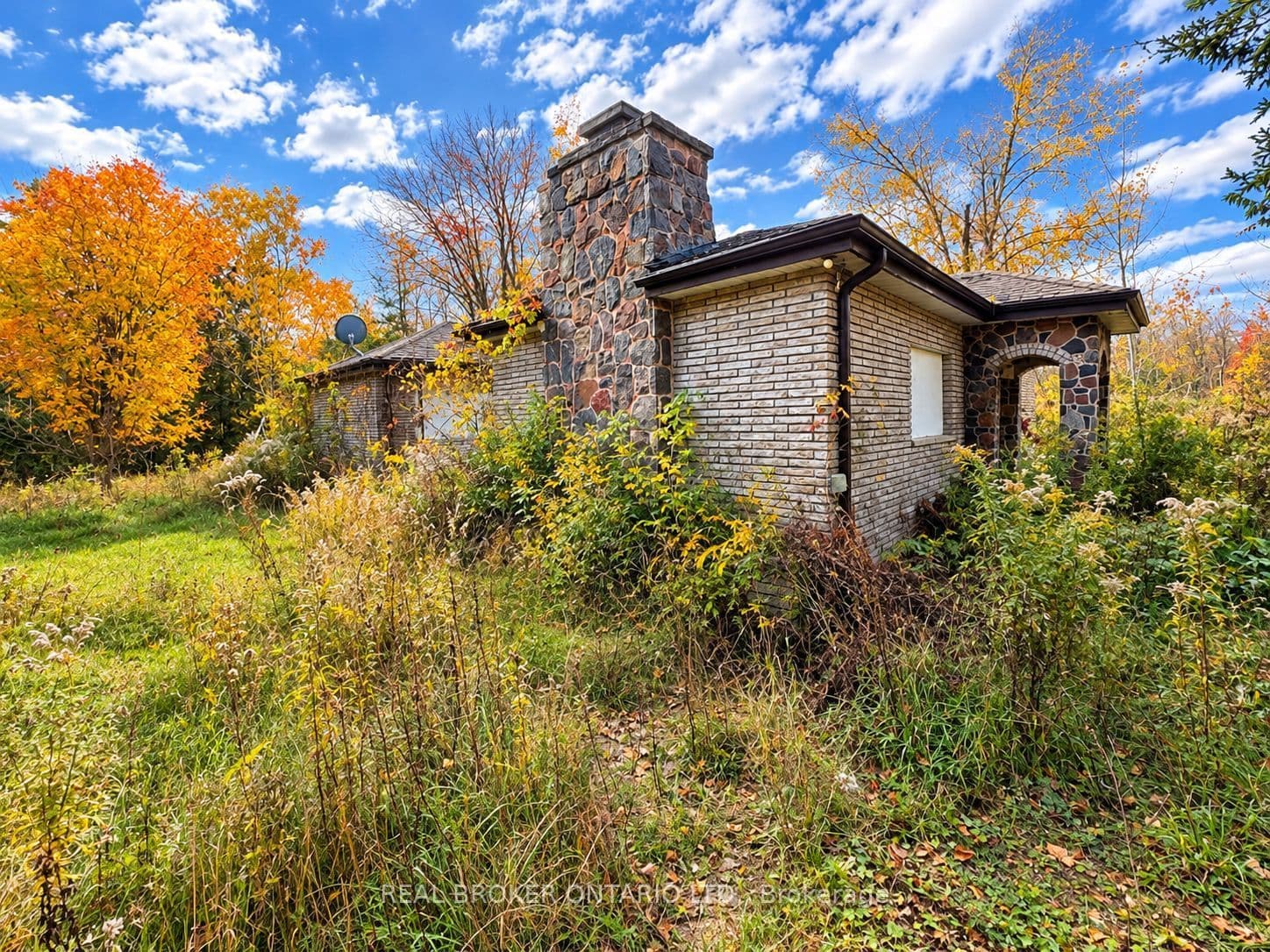Main Property