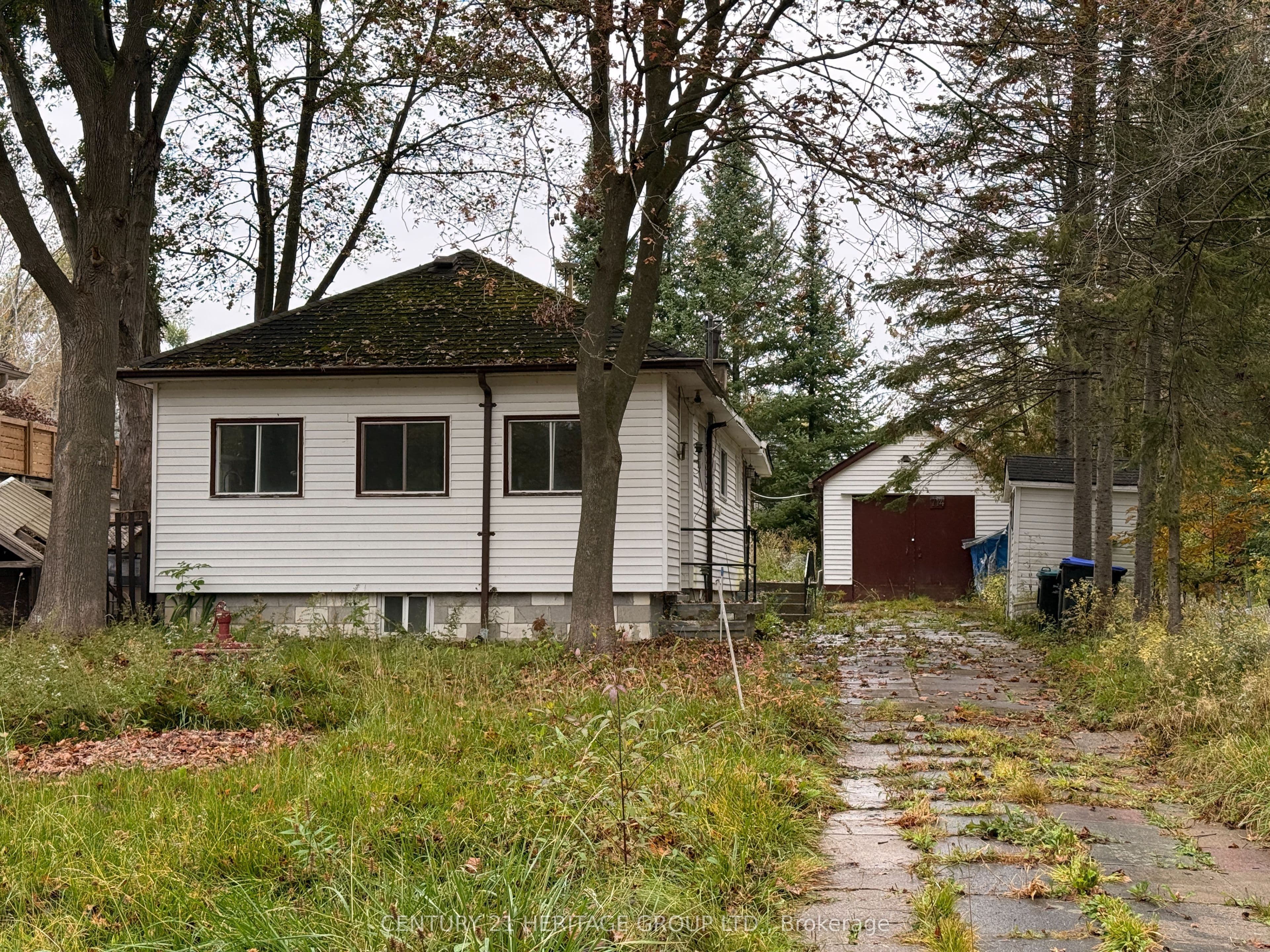 Main Property