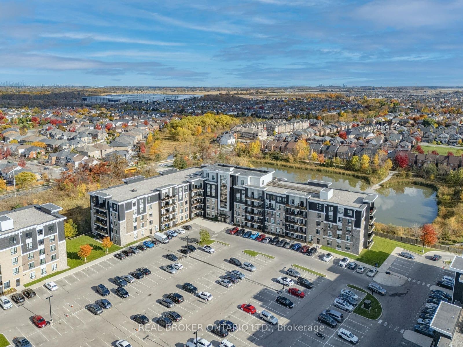 Main Property