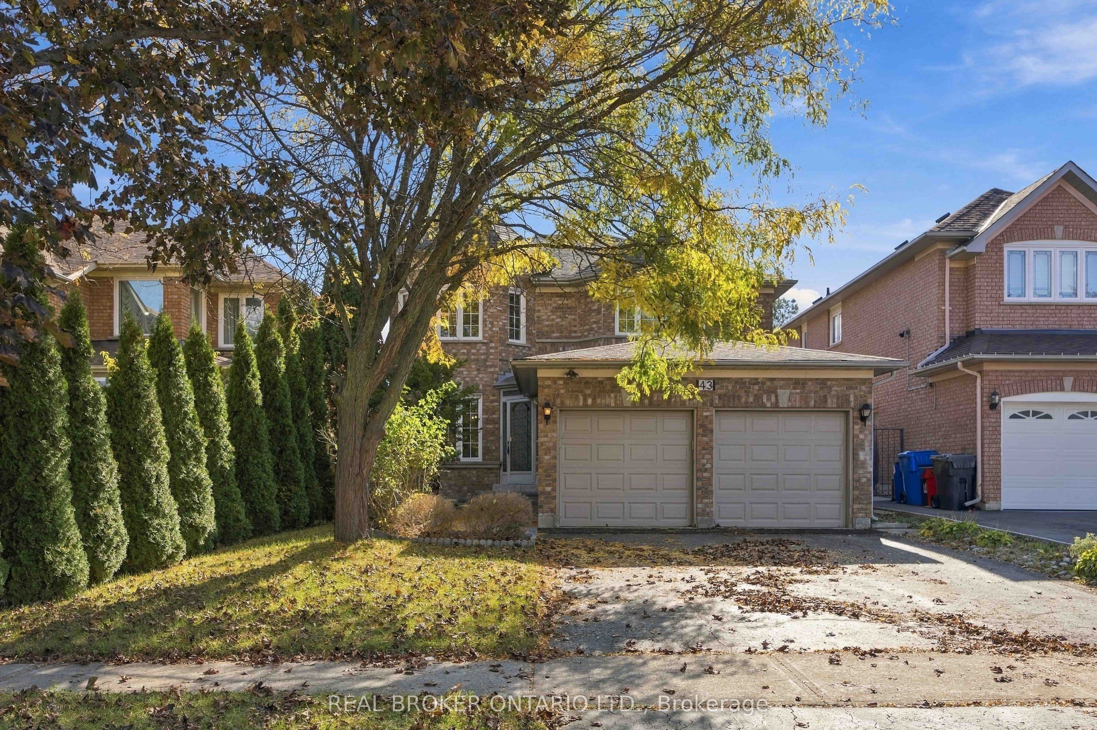 Main Property