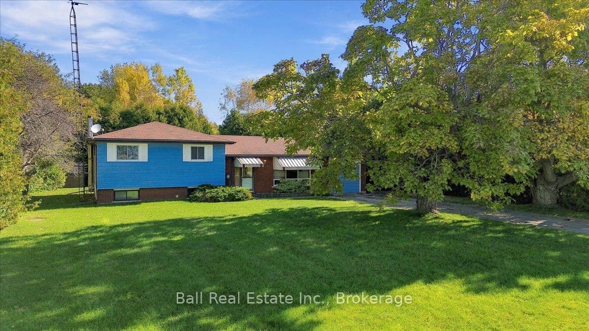 Main Property
