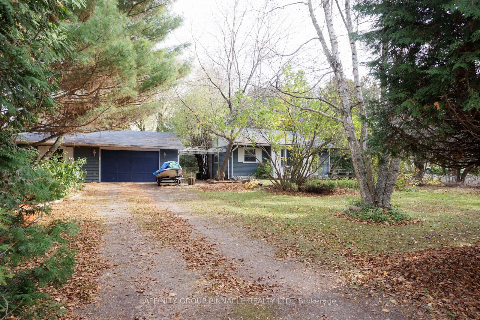 Main Property