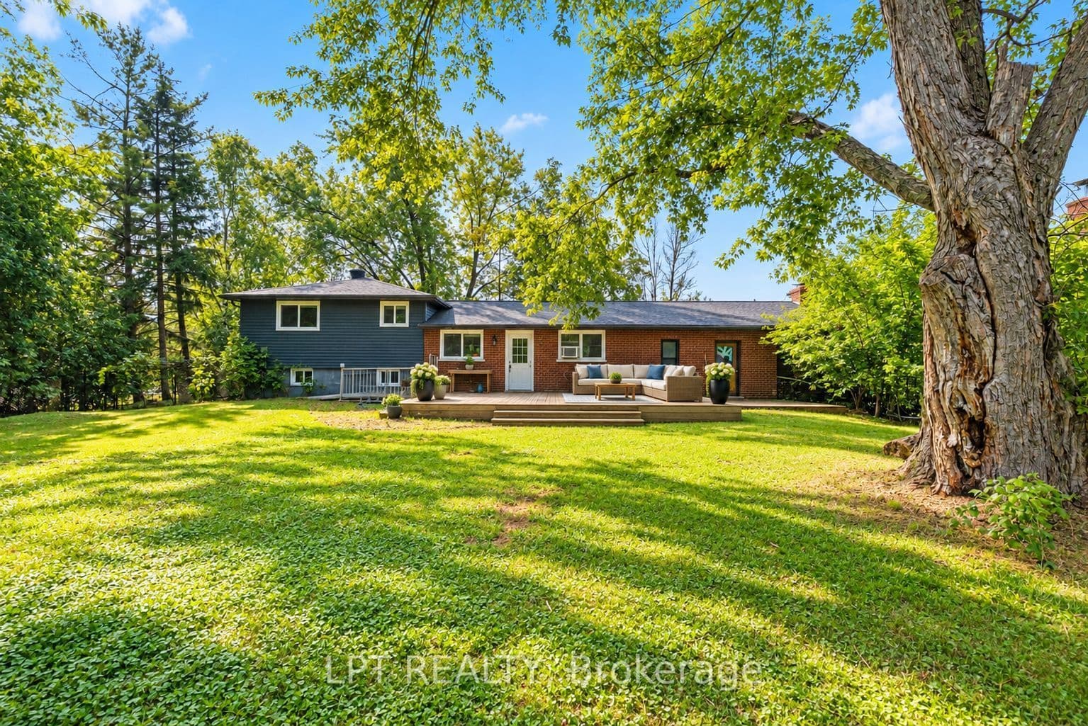 Main Property