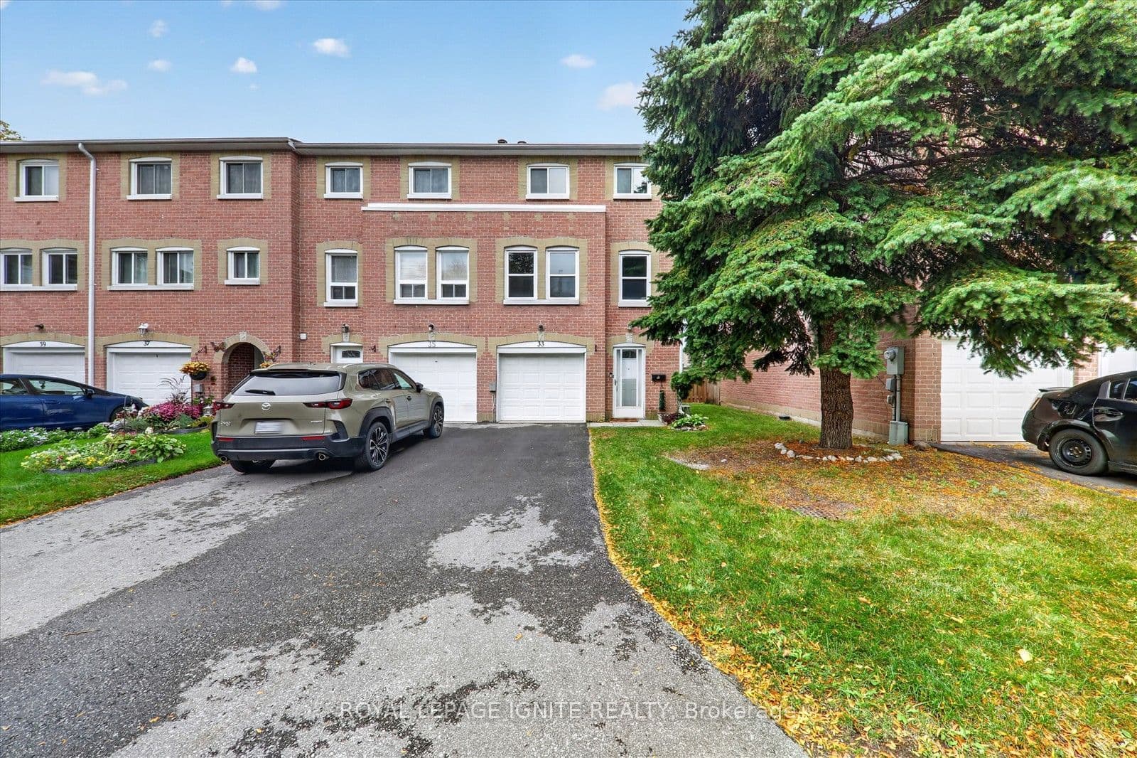 Main Property