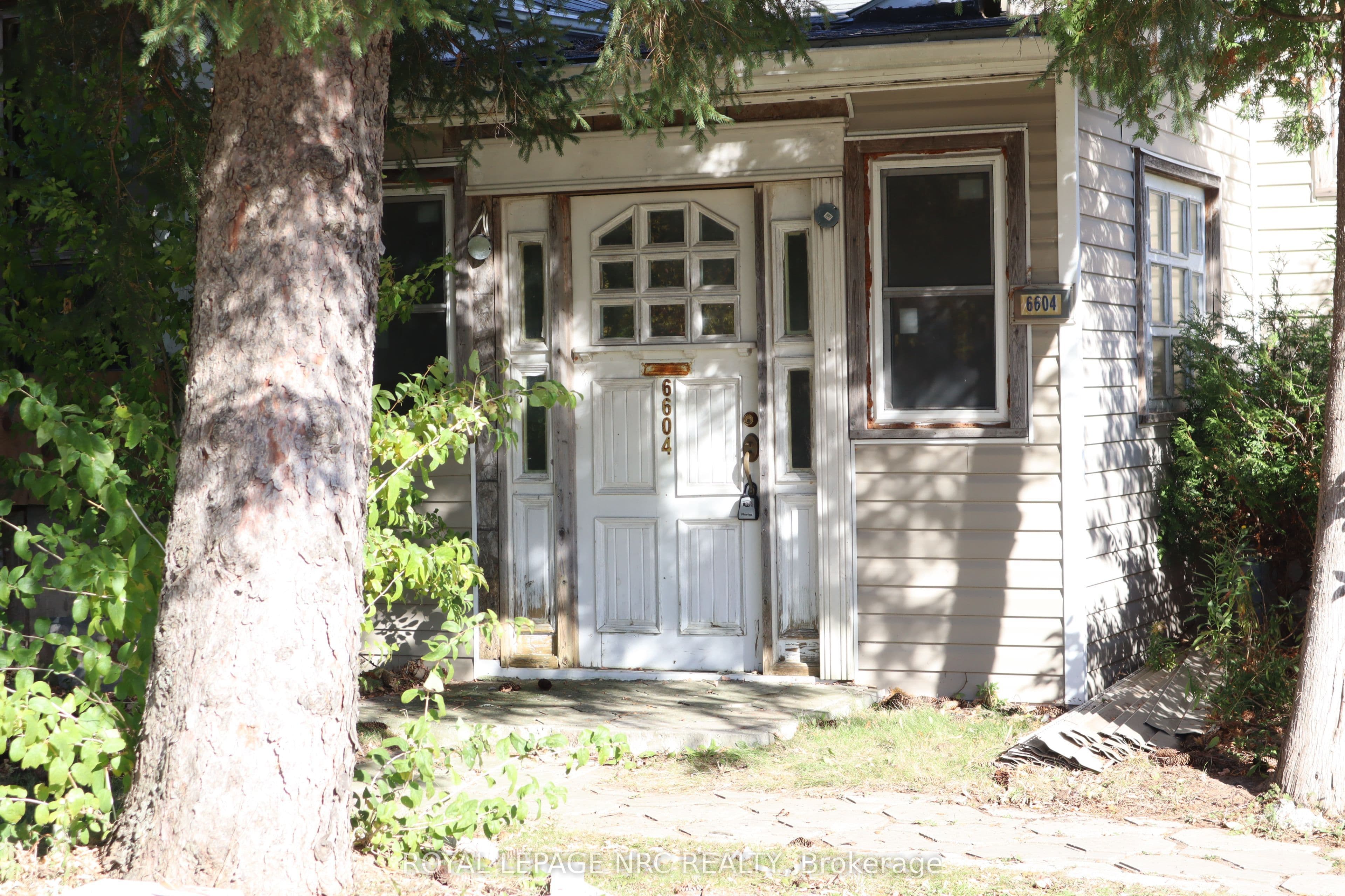 Main Property