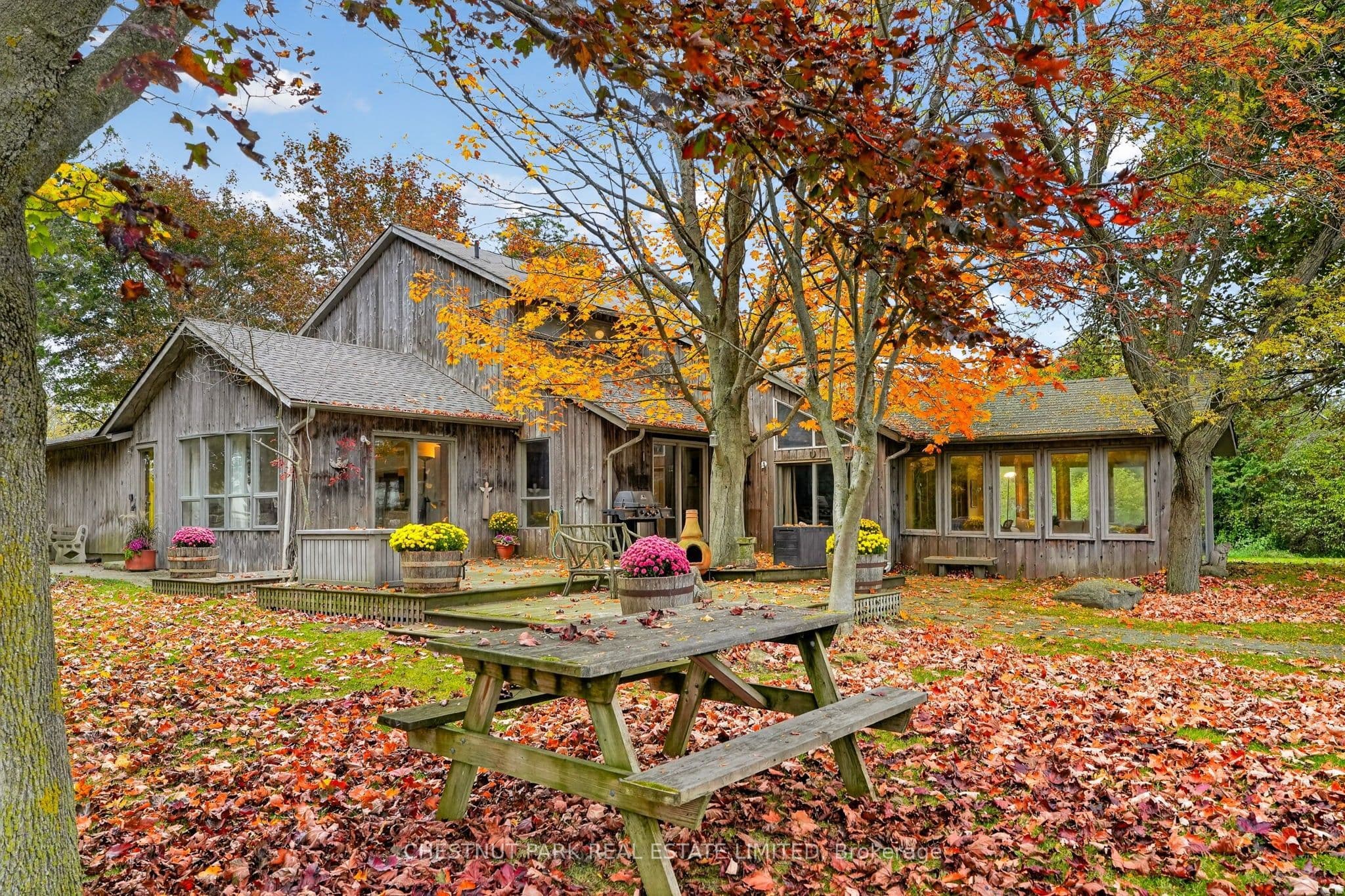 Main Property
