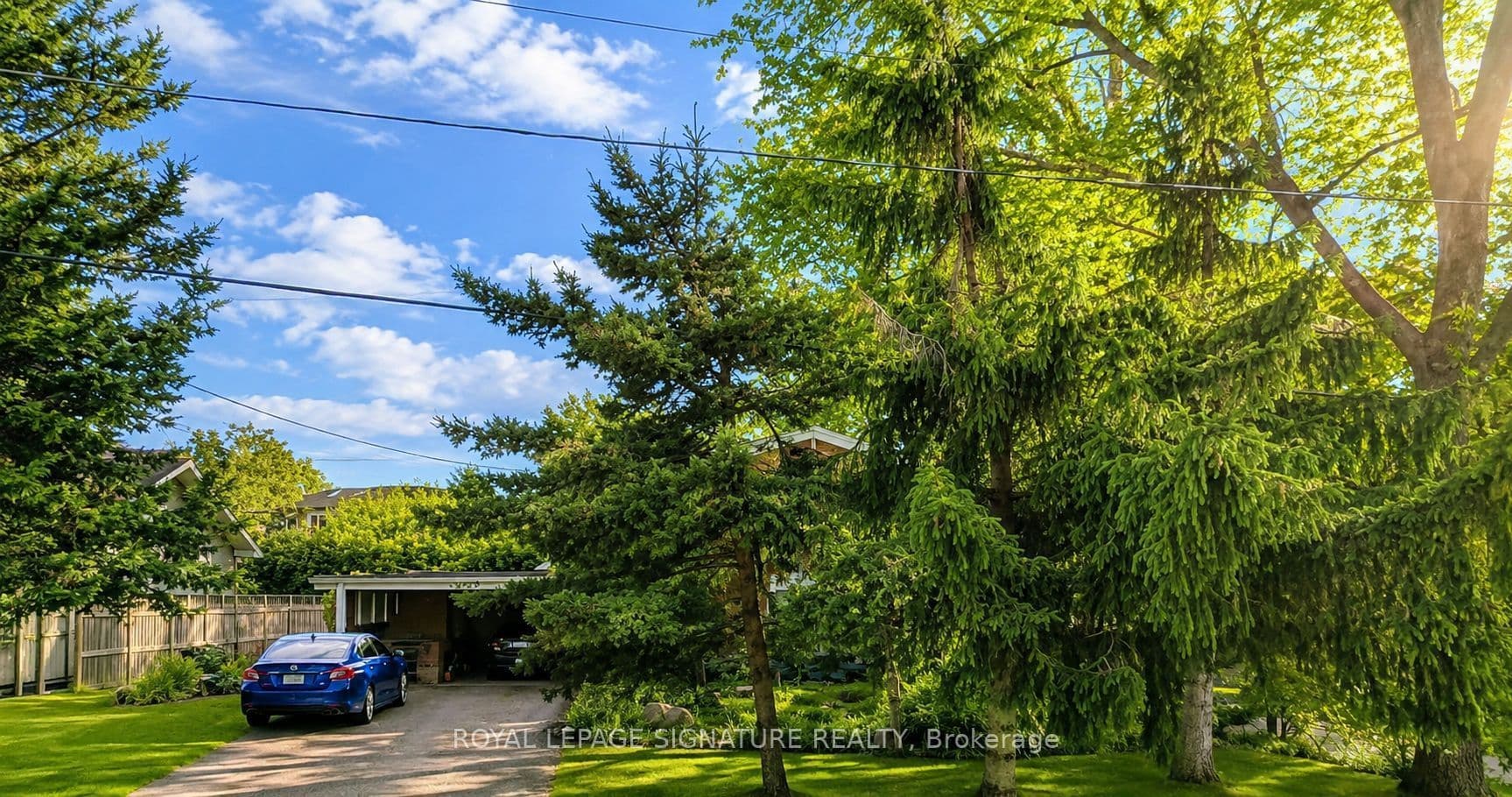 Main Property