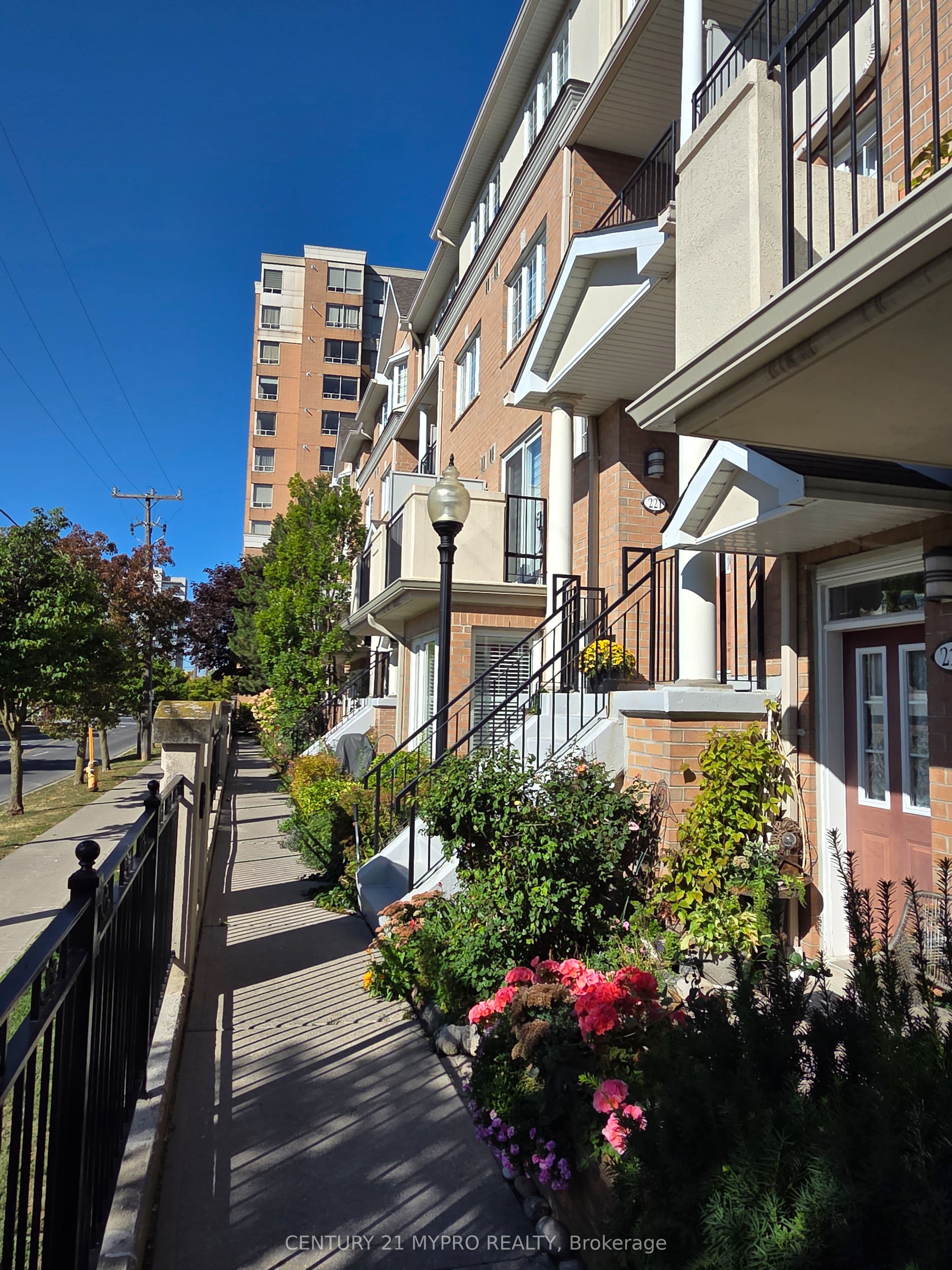 Main Property
