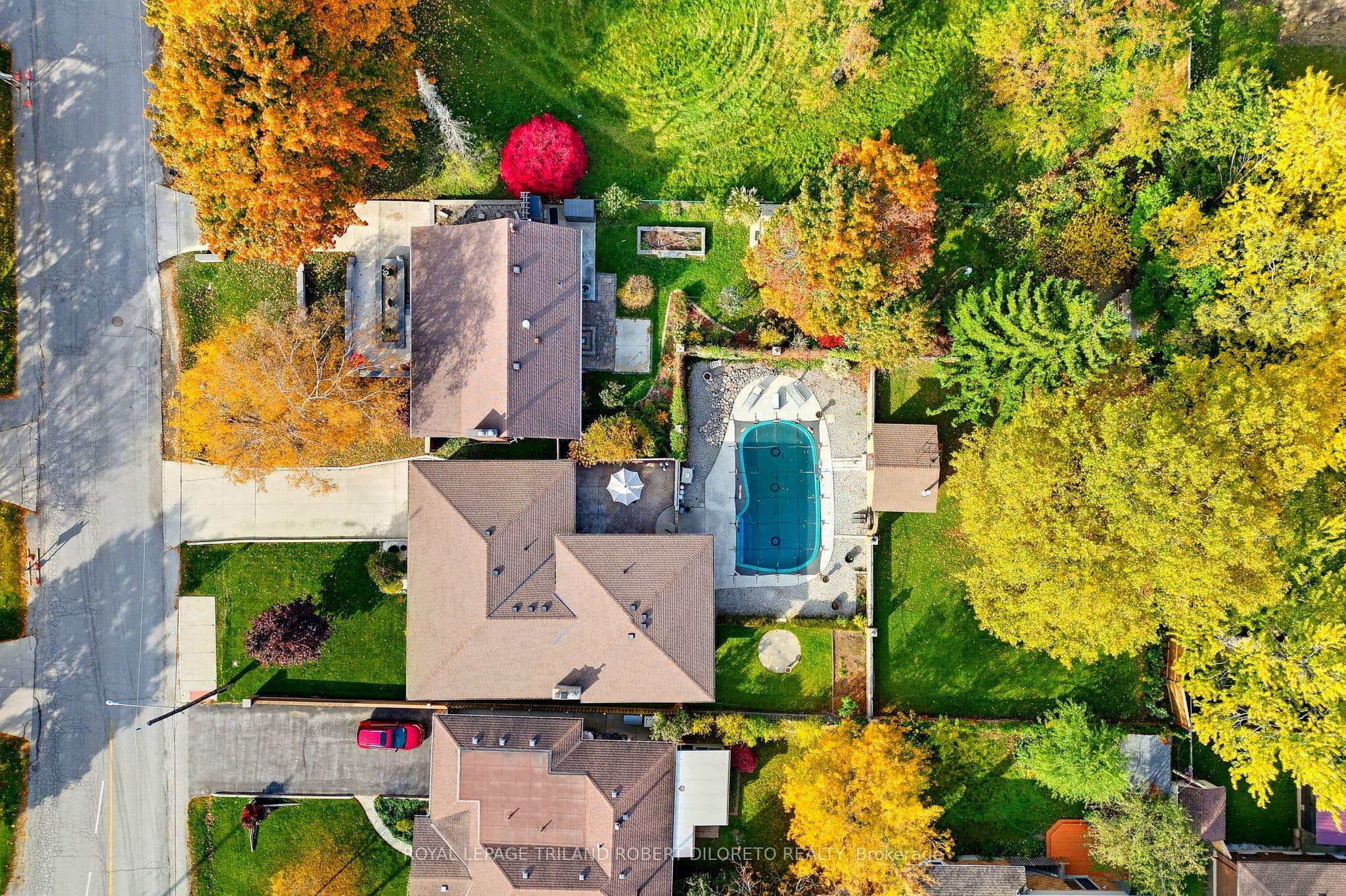 Main Property