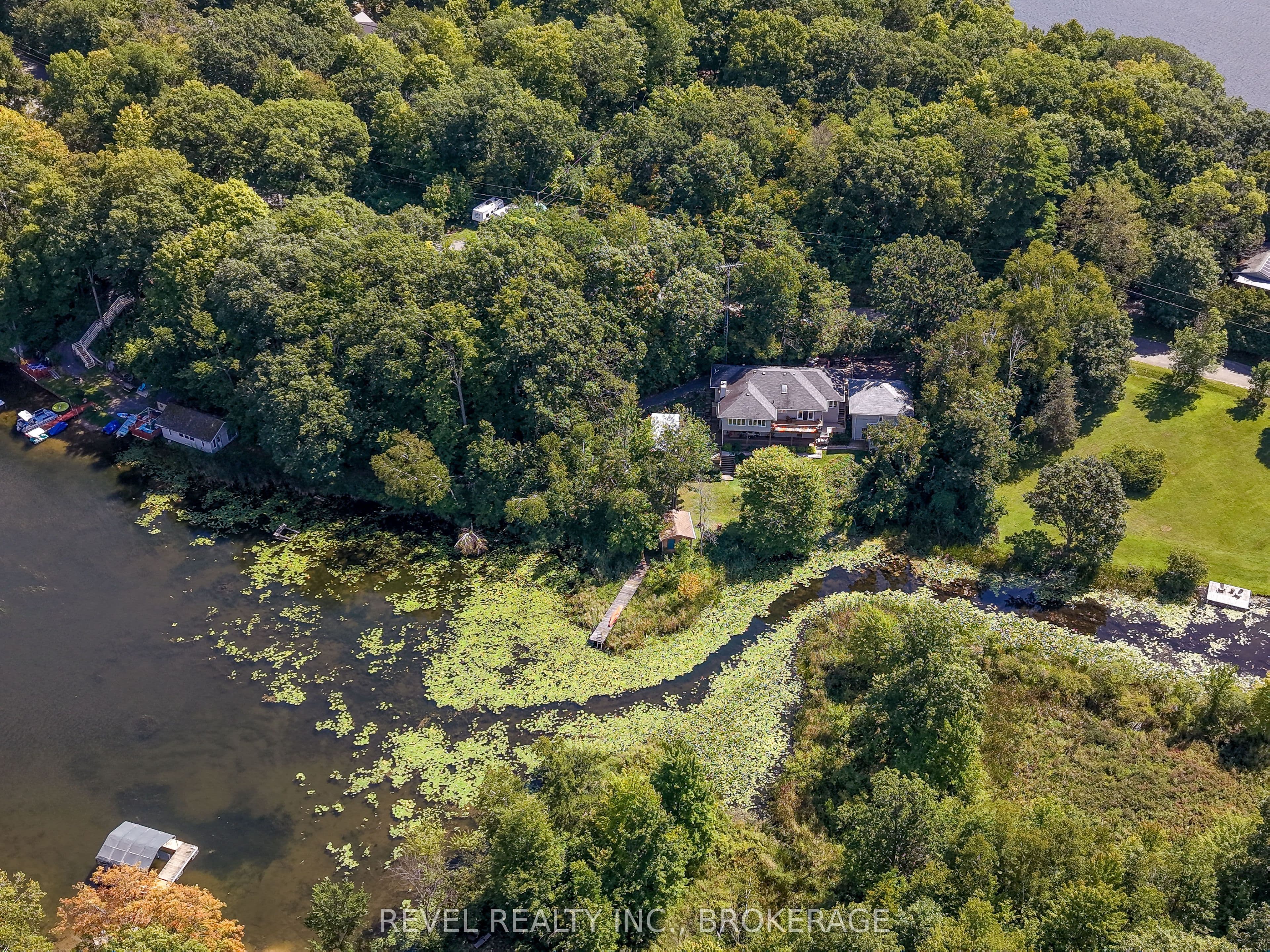 Main Property