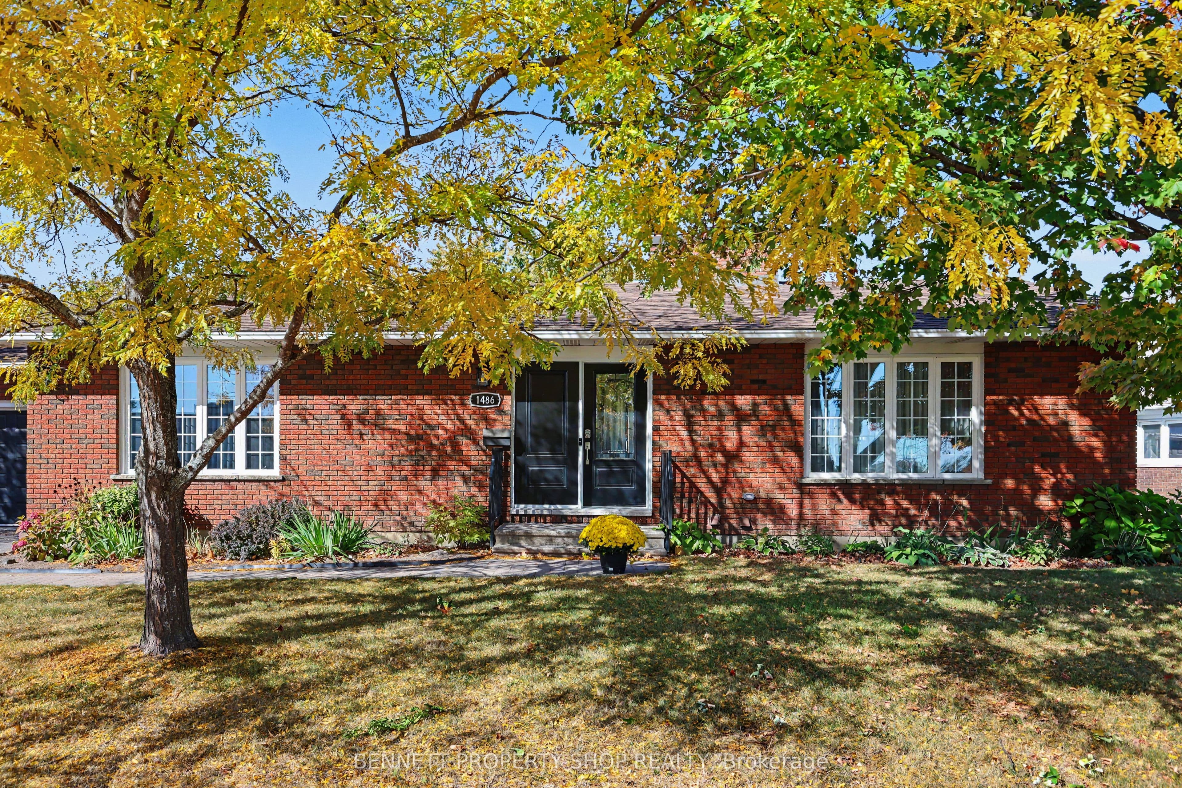 Main Property