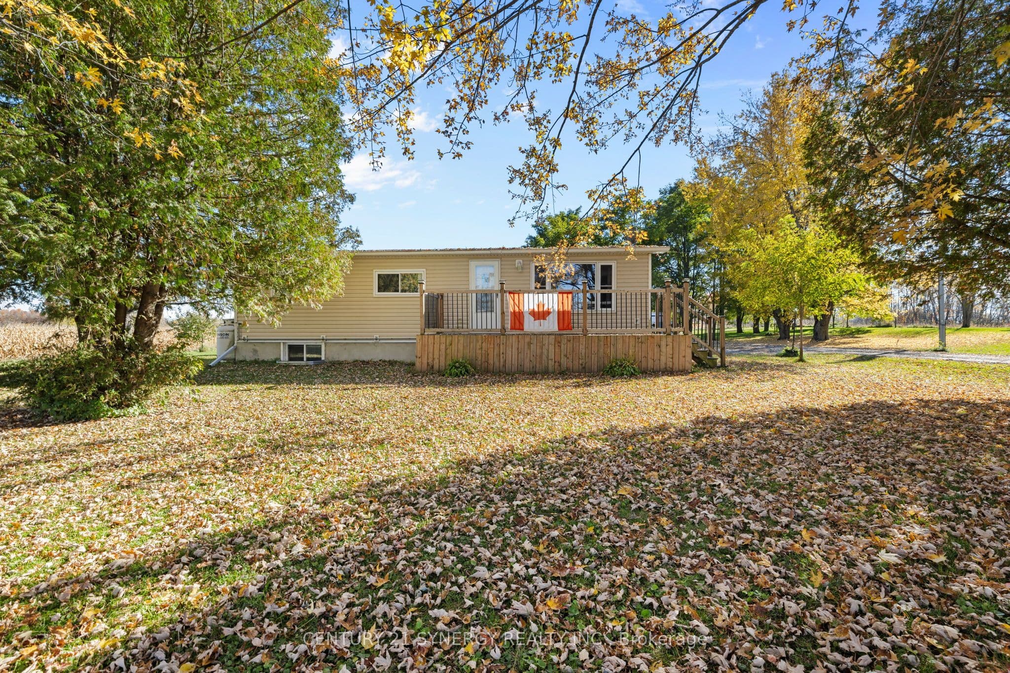 Main Property
