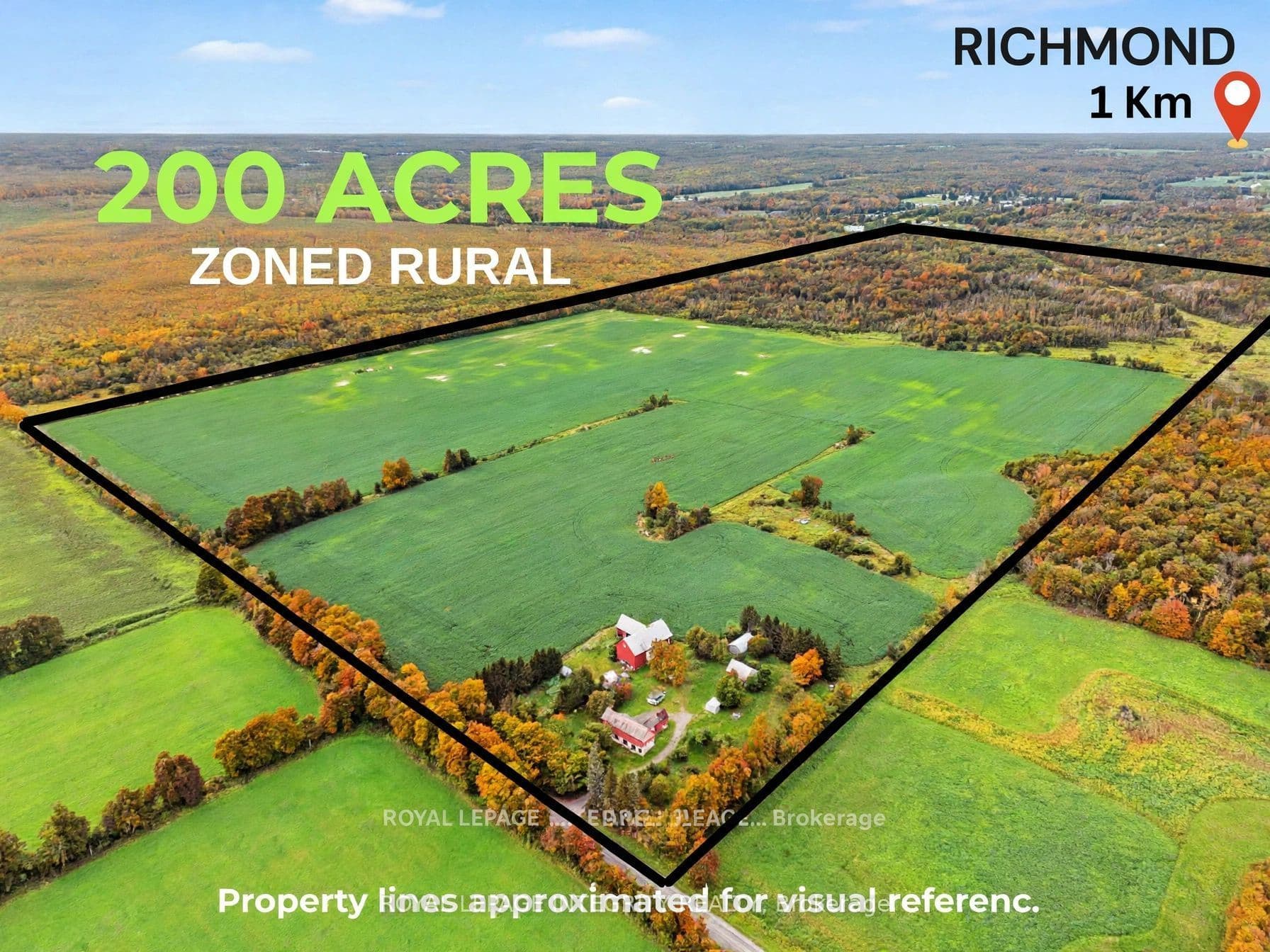 Main Property