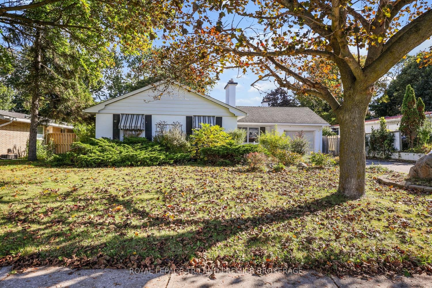 Main Property